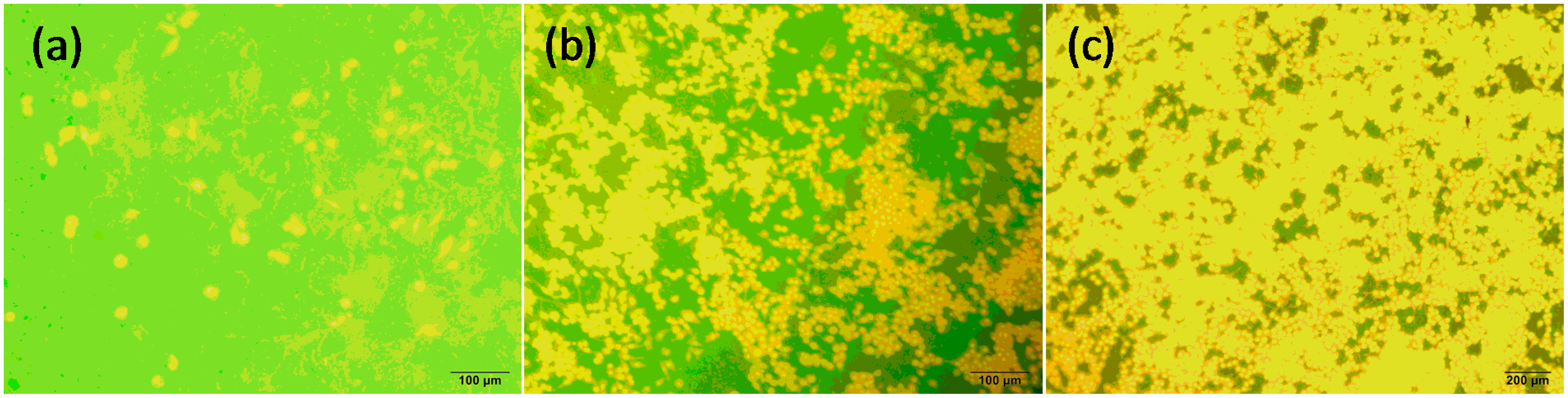 Lubricants 02 00137 g008