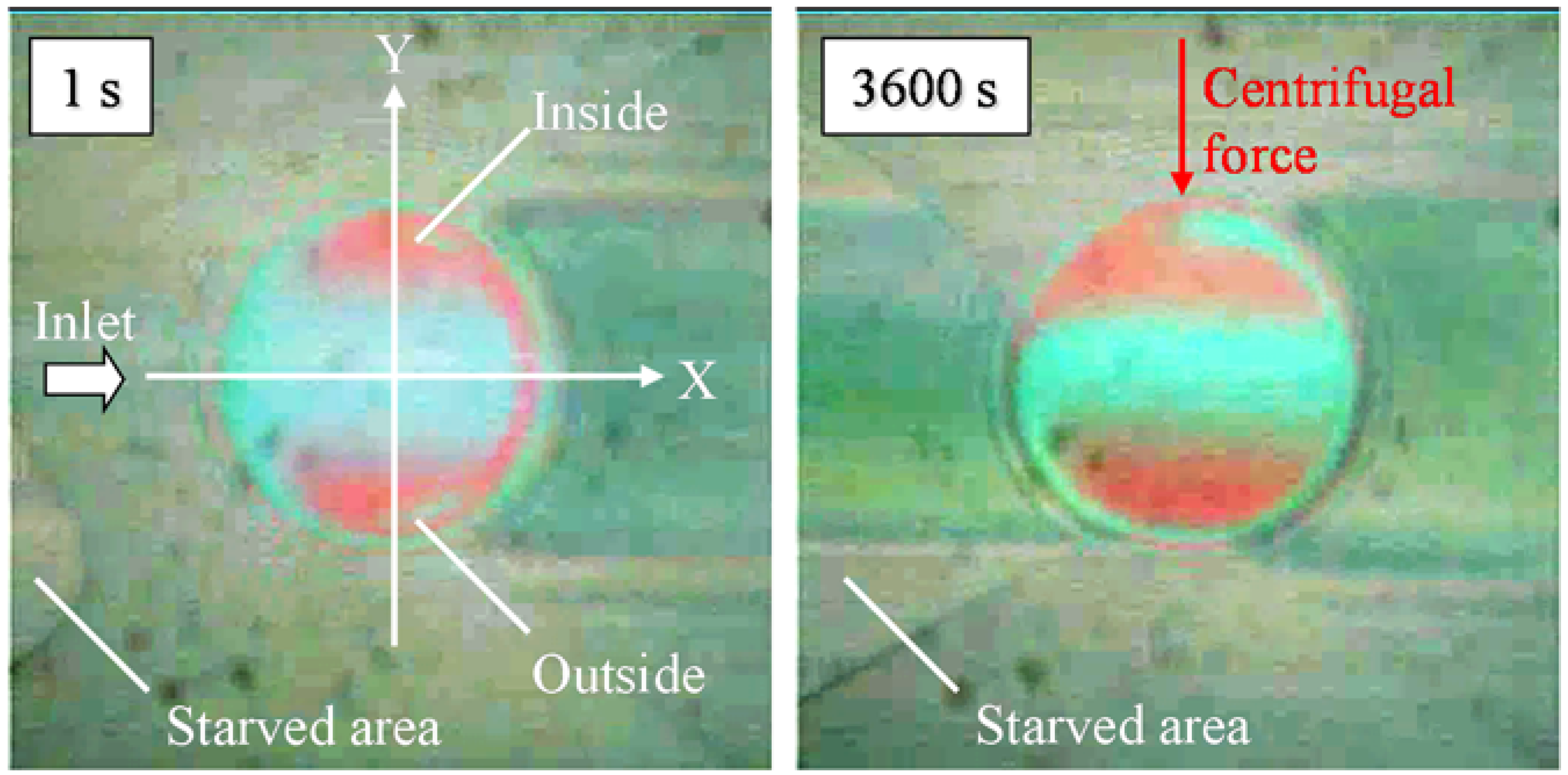 Lubricants 03 00365 g004