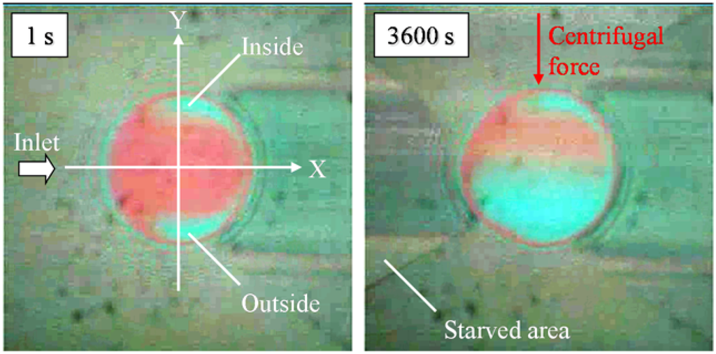 Lubricants 03 00365 g006 1024