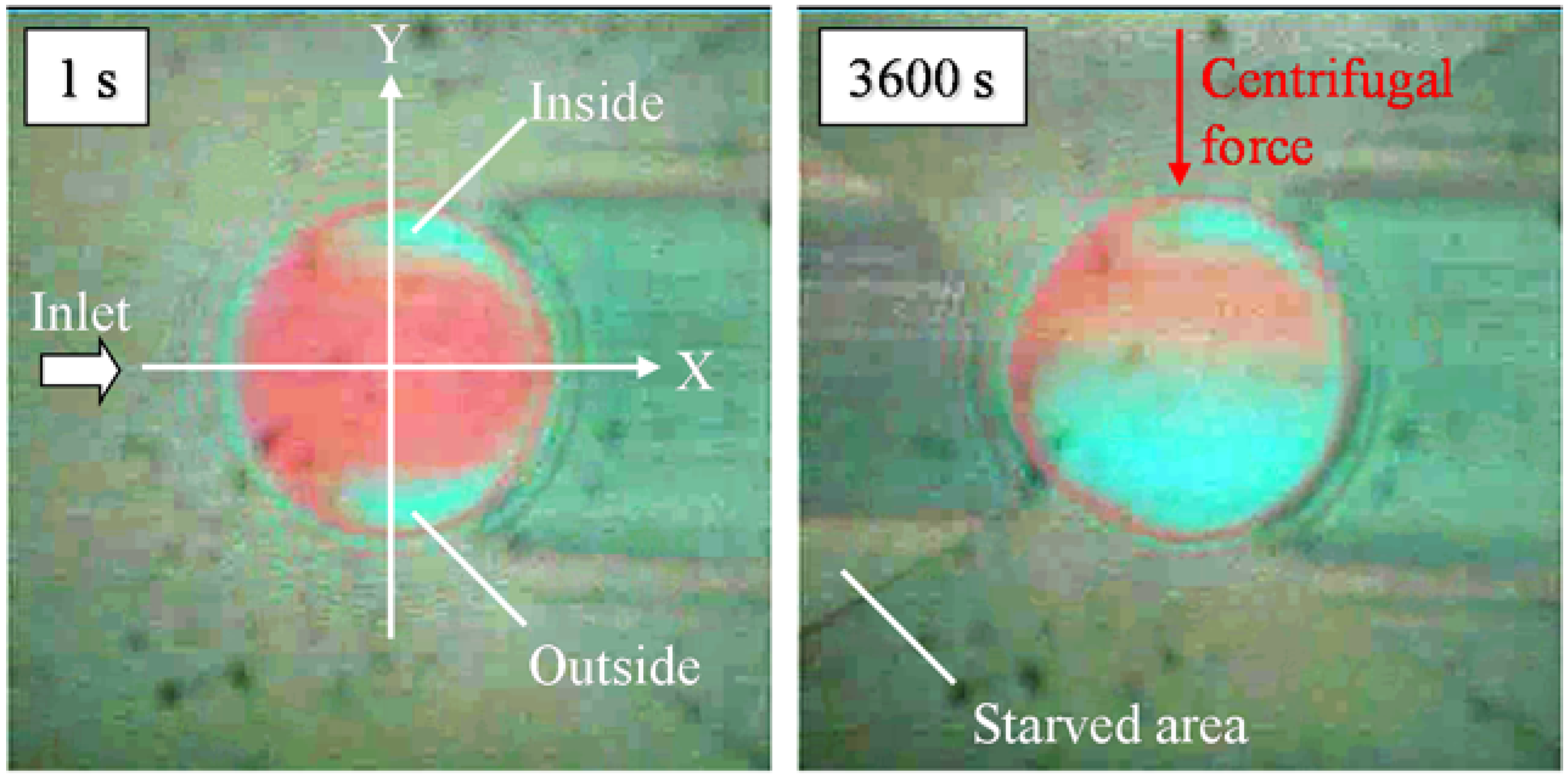 Lubricants 03 00365 g006