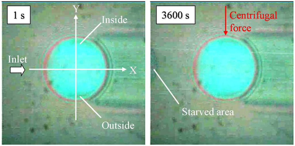 Lubricants 03 00365 g008 1024