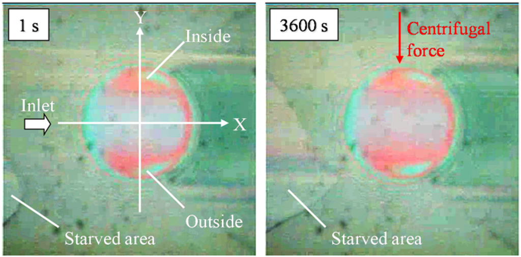 Lubricants 03 00365 g012 1024