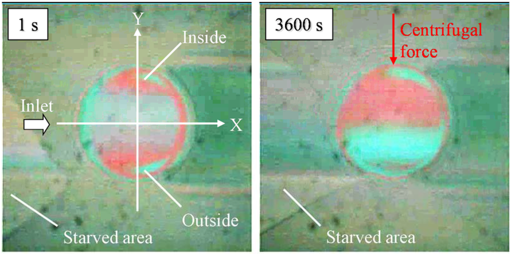 Lubricants 03 00365 g016 1024