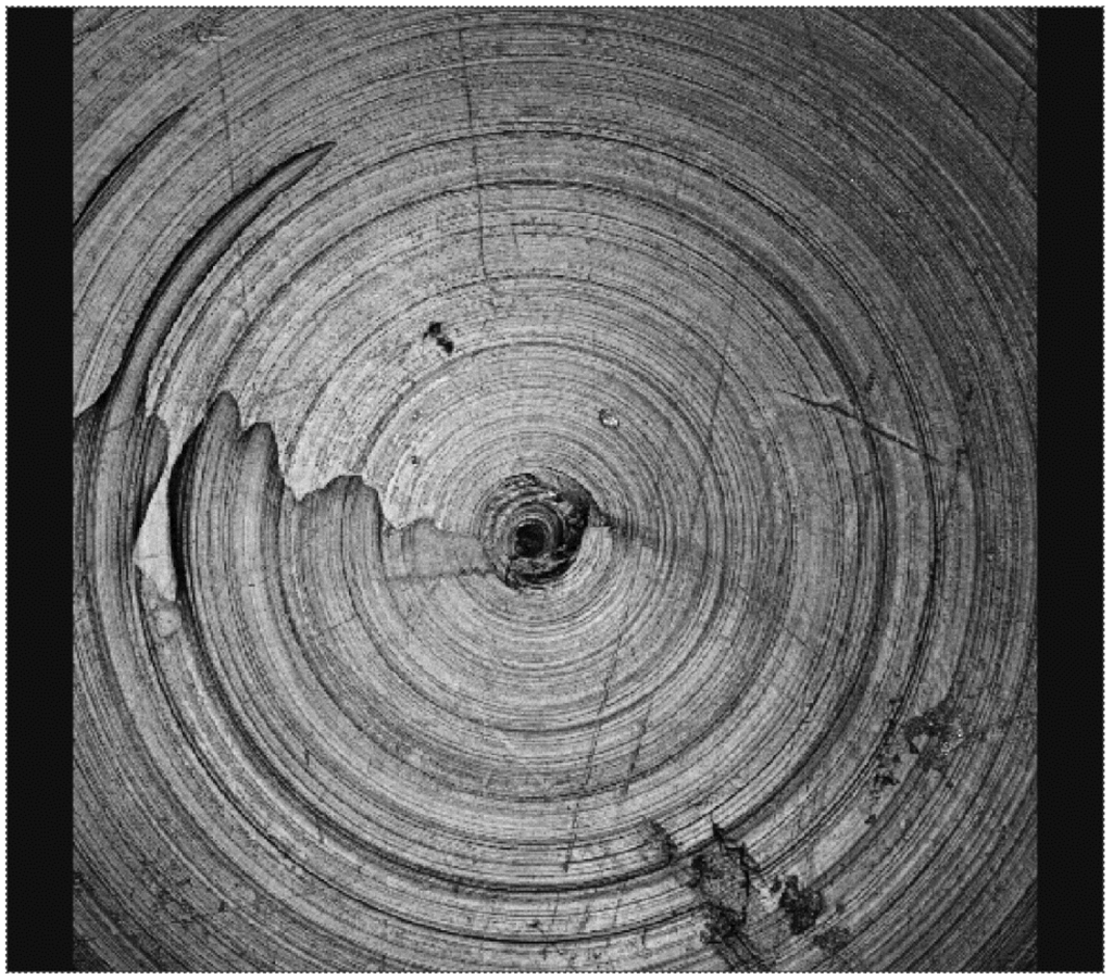 Lubricants 03 00459 g009 1024