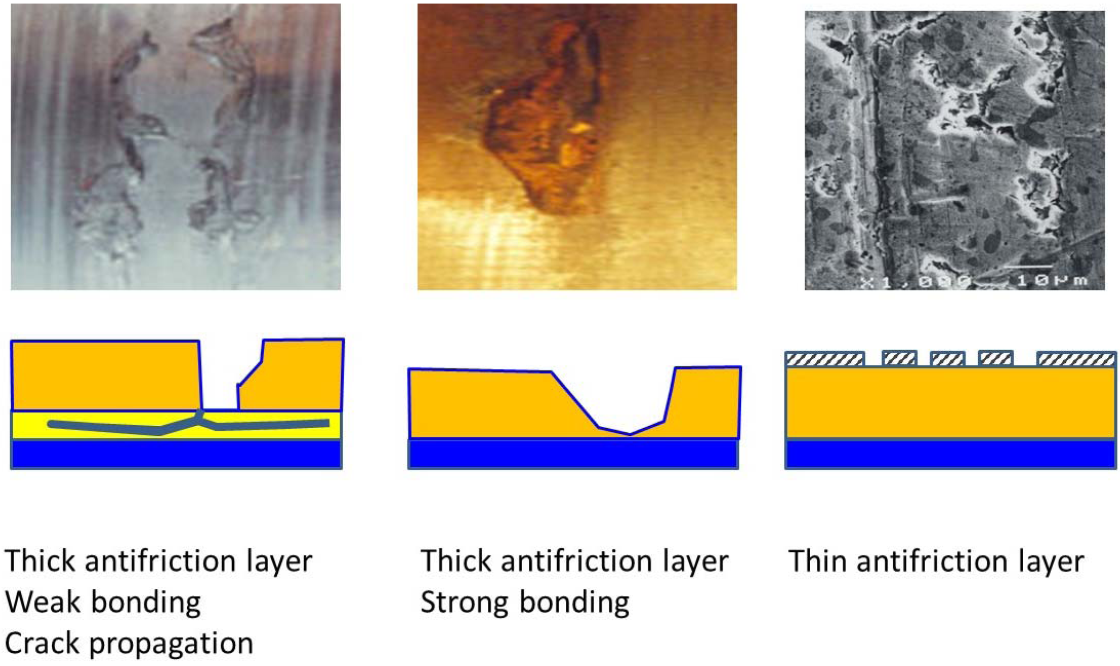 Lubricants 03 00569 g003