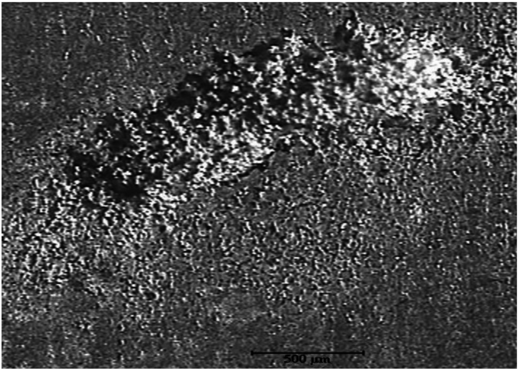 Lubricants 03 00569 g008 1024