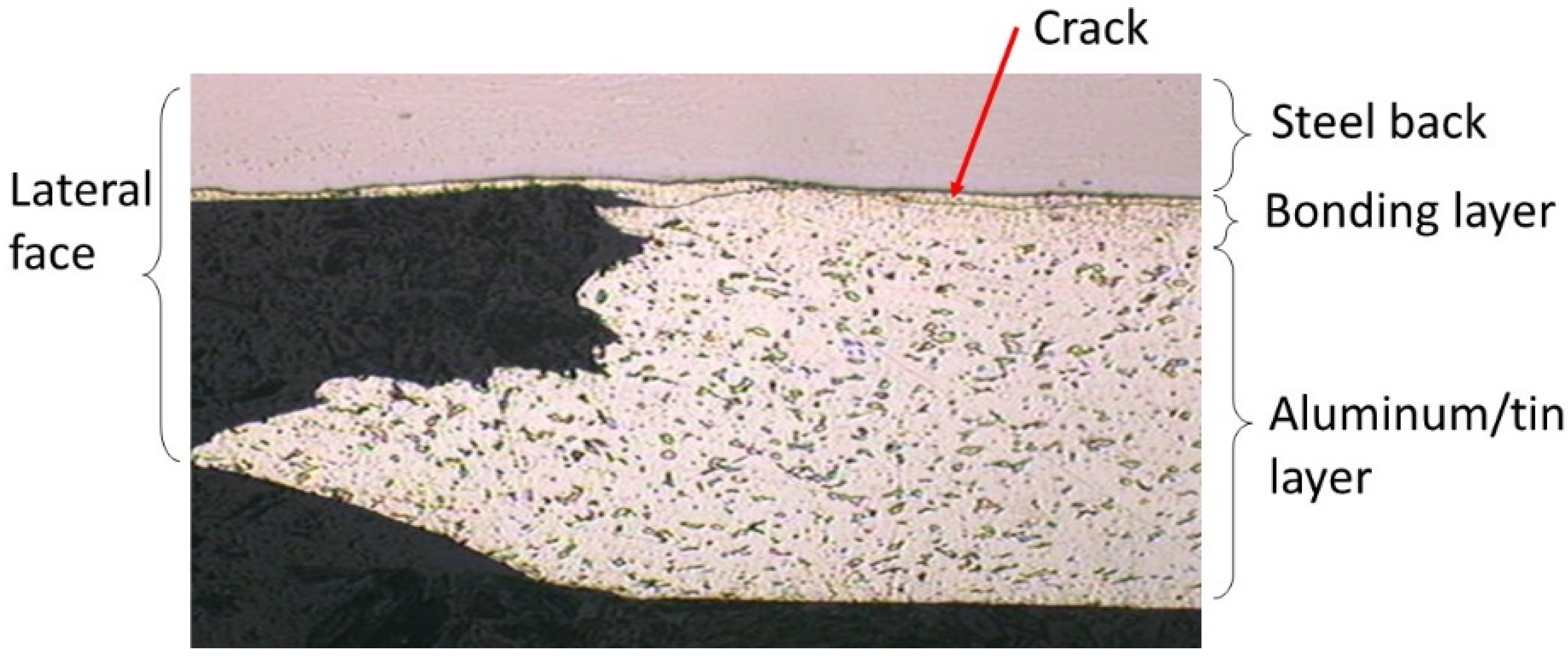 Lubricants 03 00569 g009