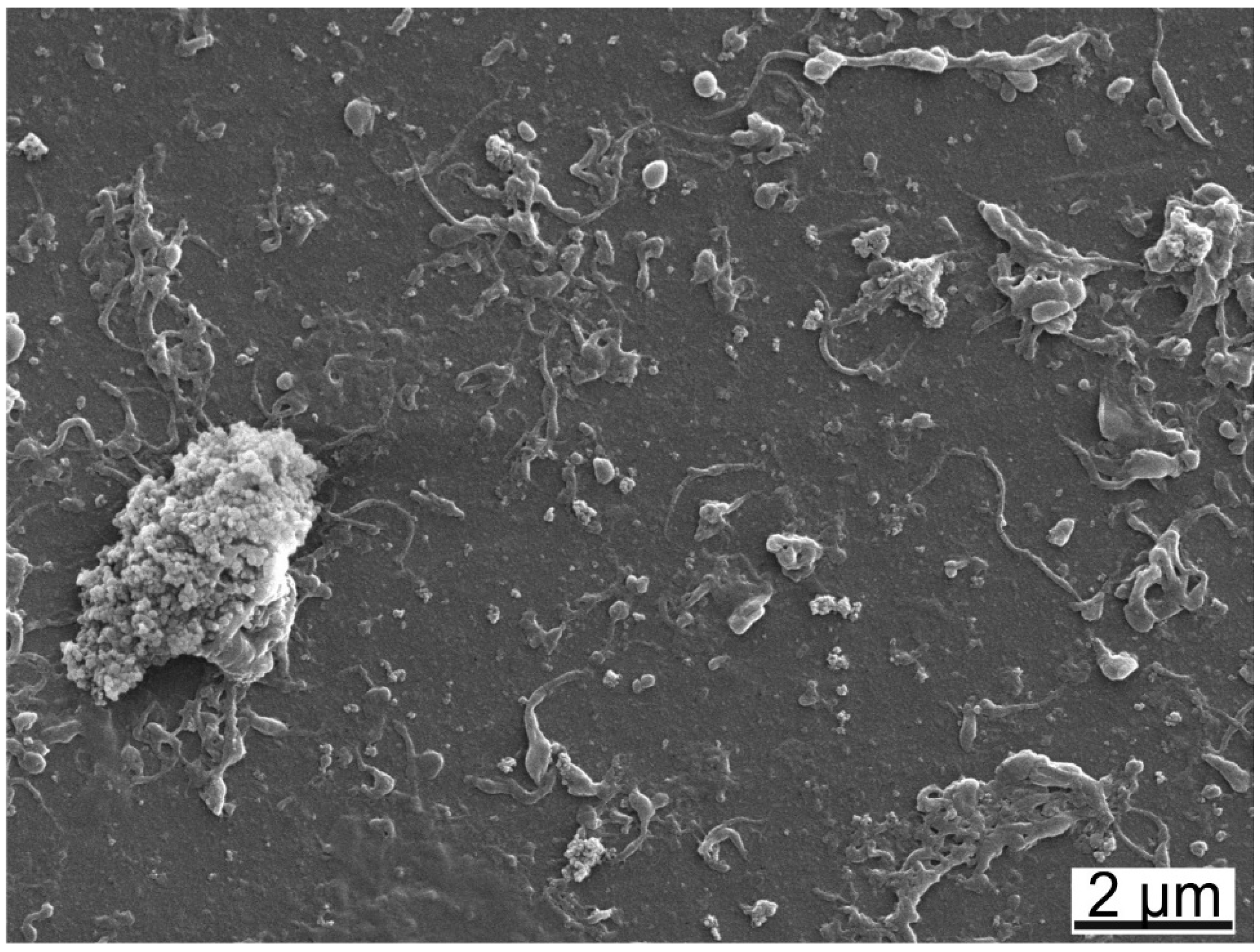 Lubricants 03 00664 g007