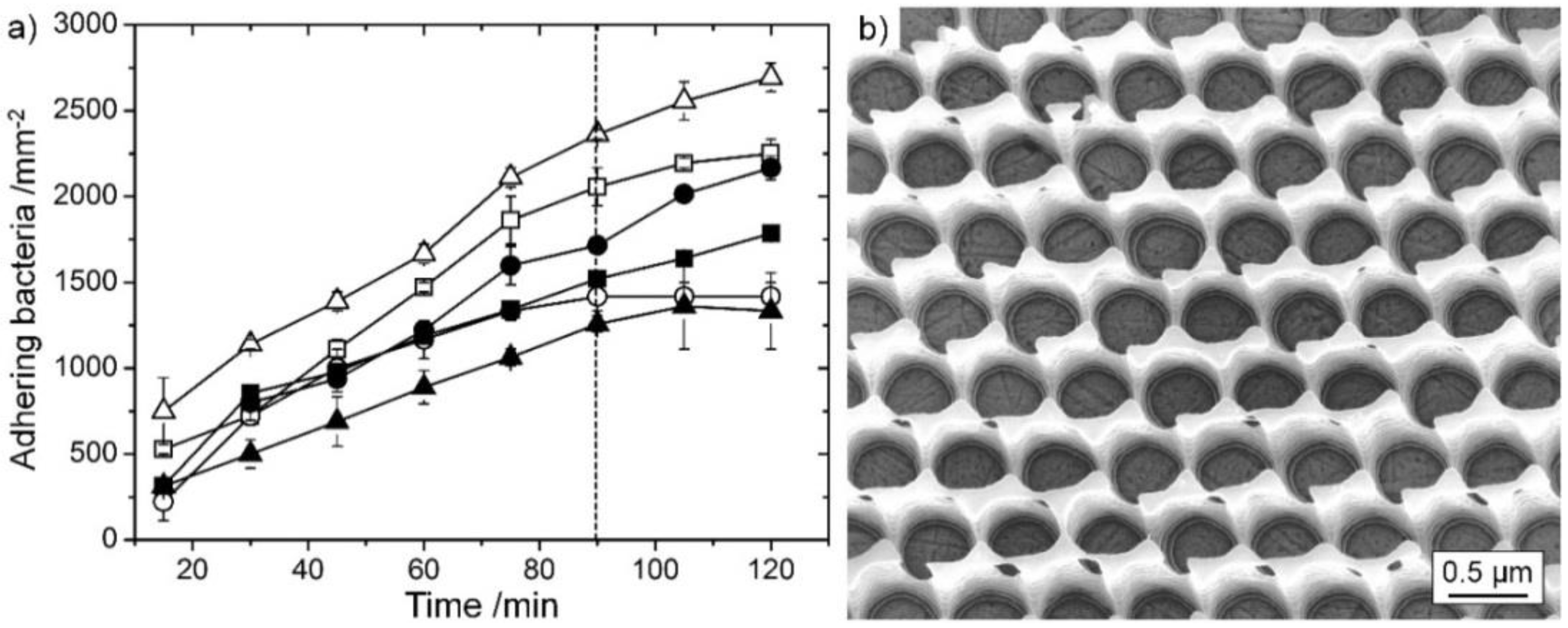 Lubricants 04 00002 g006