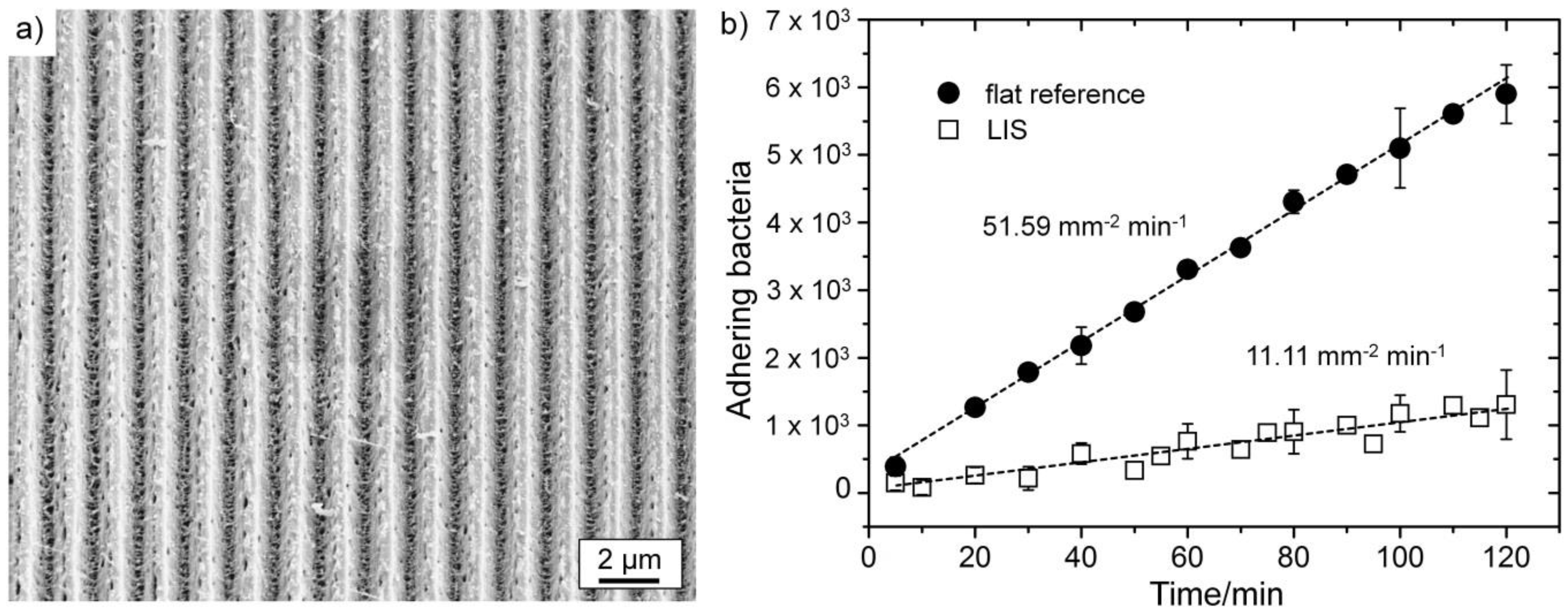 Lubricants 04 00002 g007