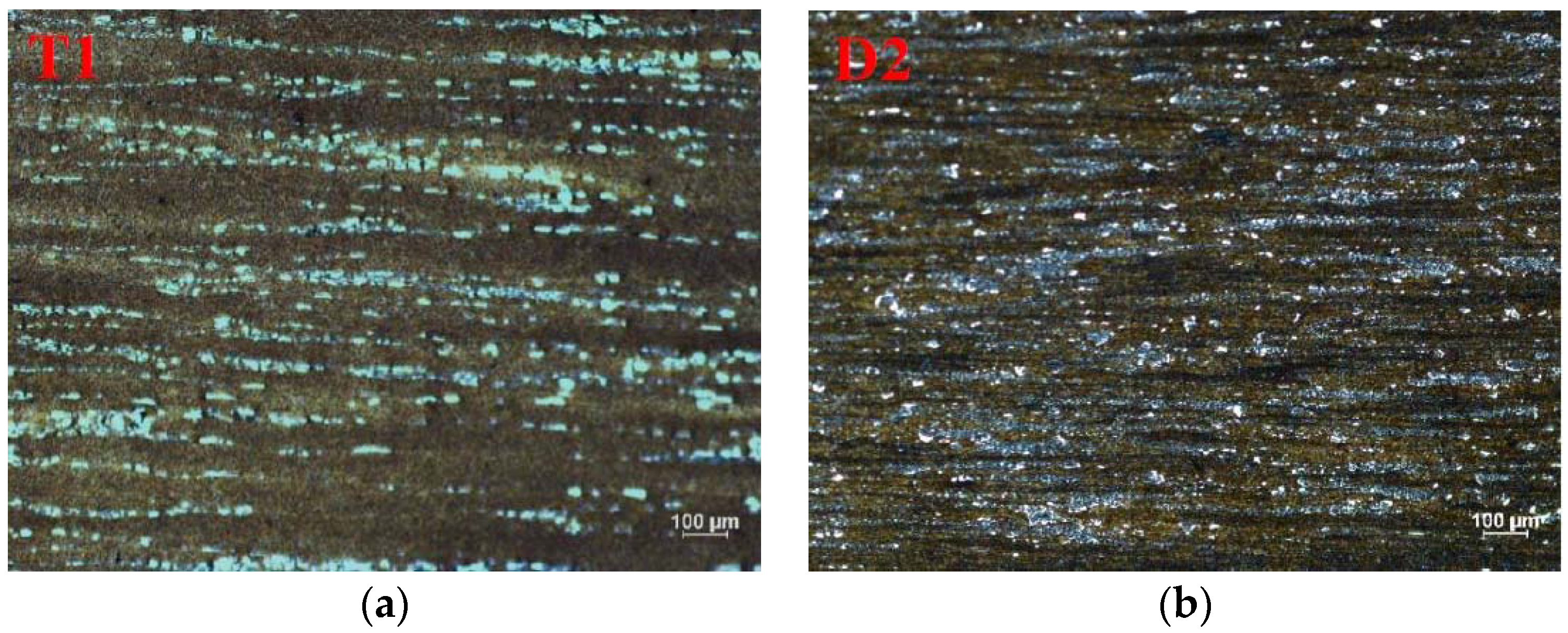 Lubricants 04 00010 g001