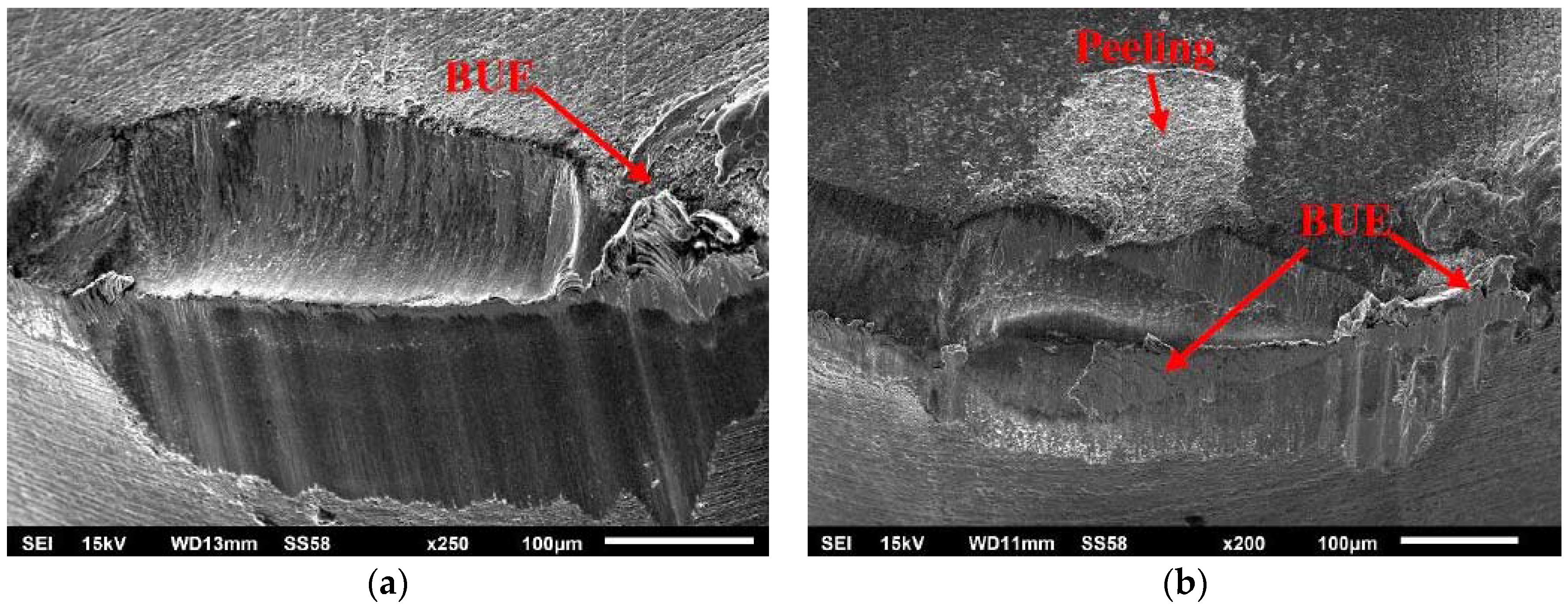 Lubricants 04 00010 g003