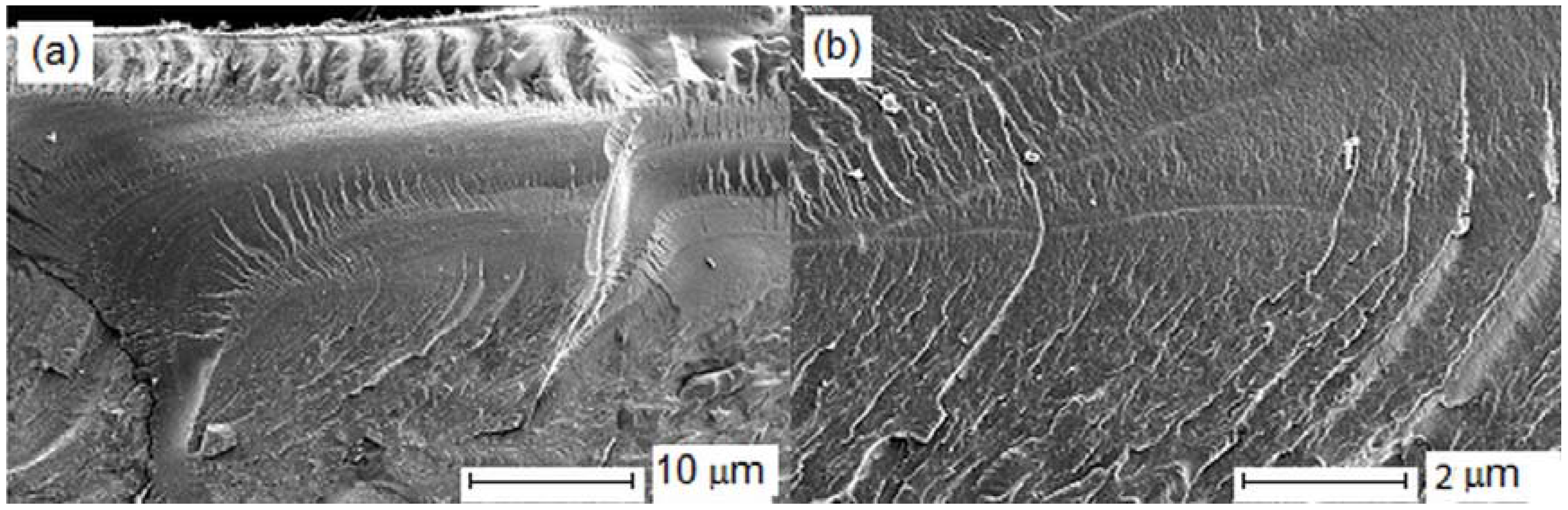 Lubricants 04 00013 g002