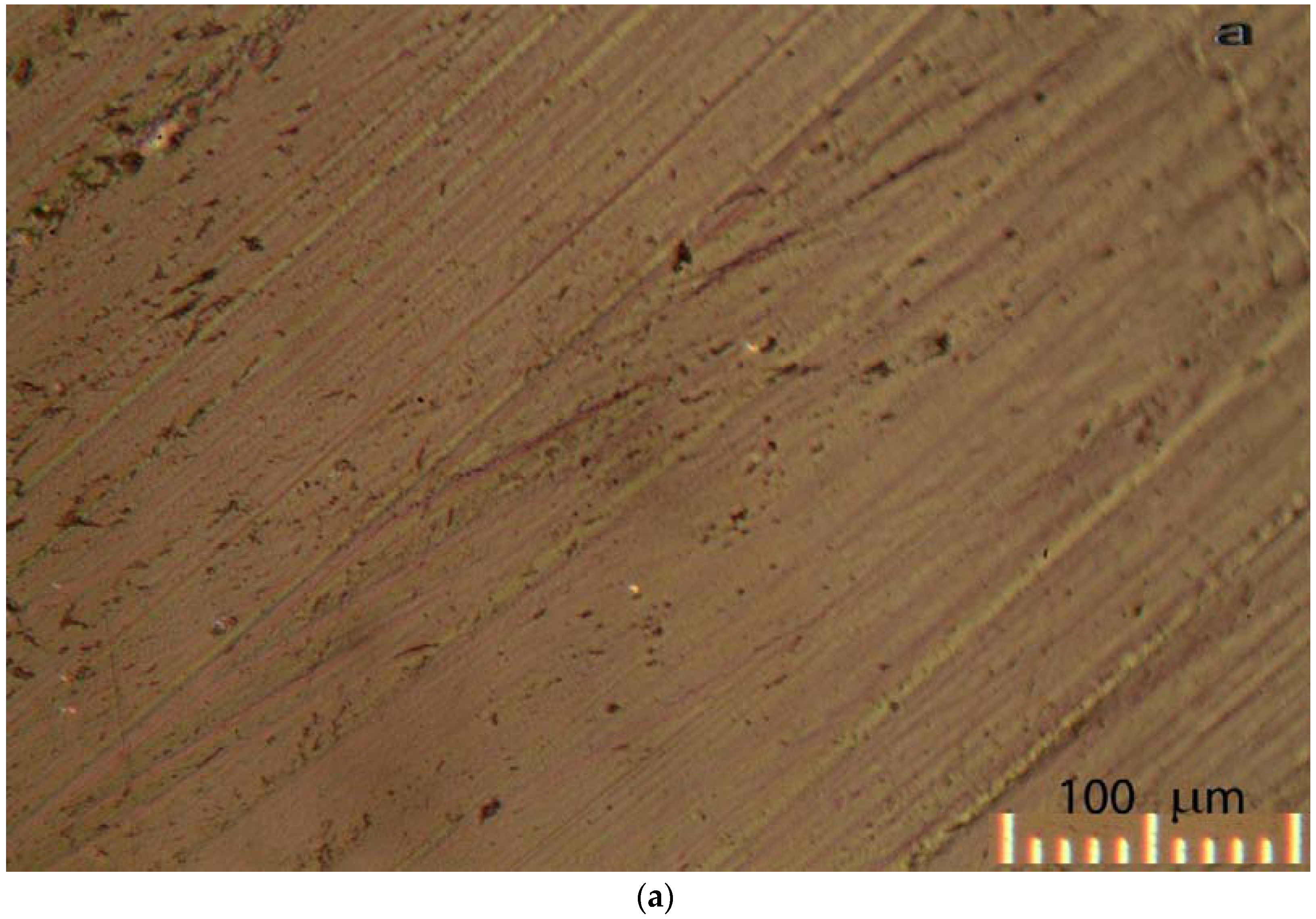 Lubricants 04 00013 g005a