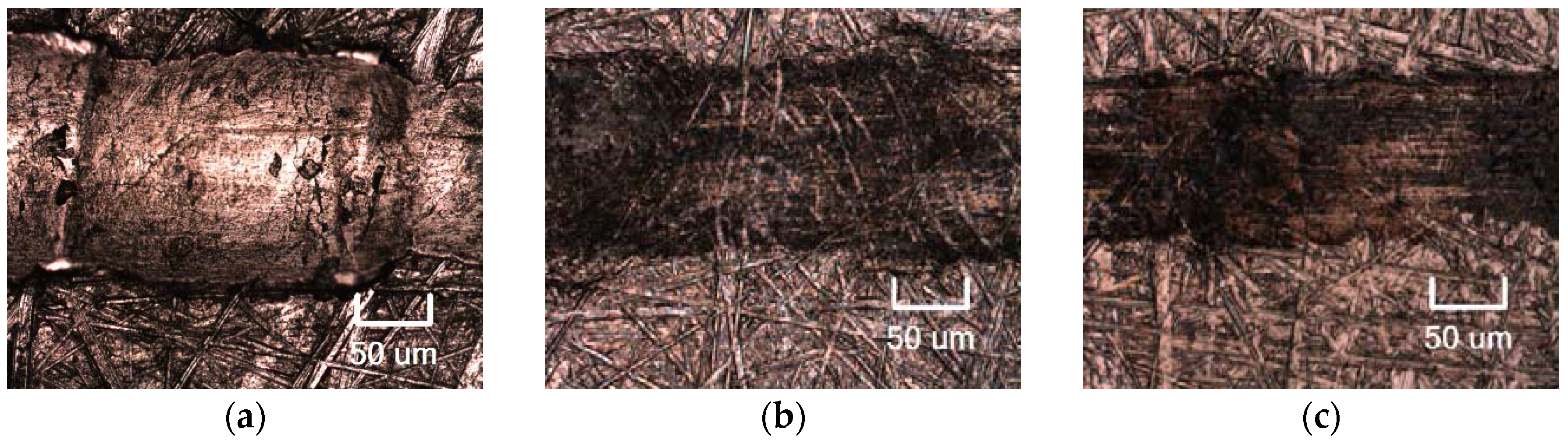 Lubricants 04 00016 g005