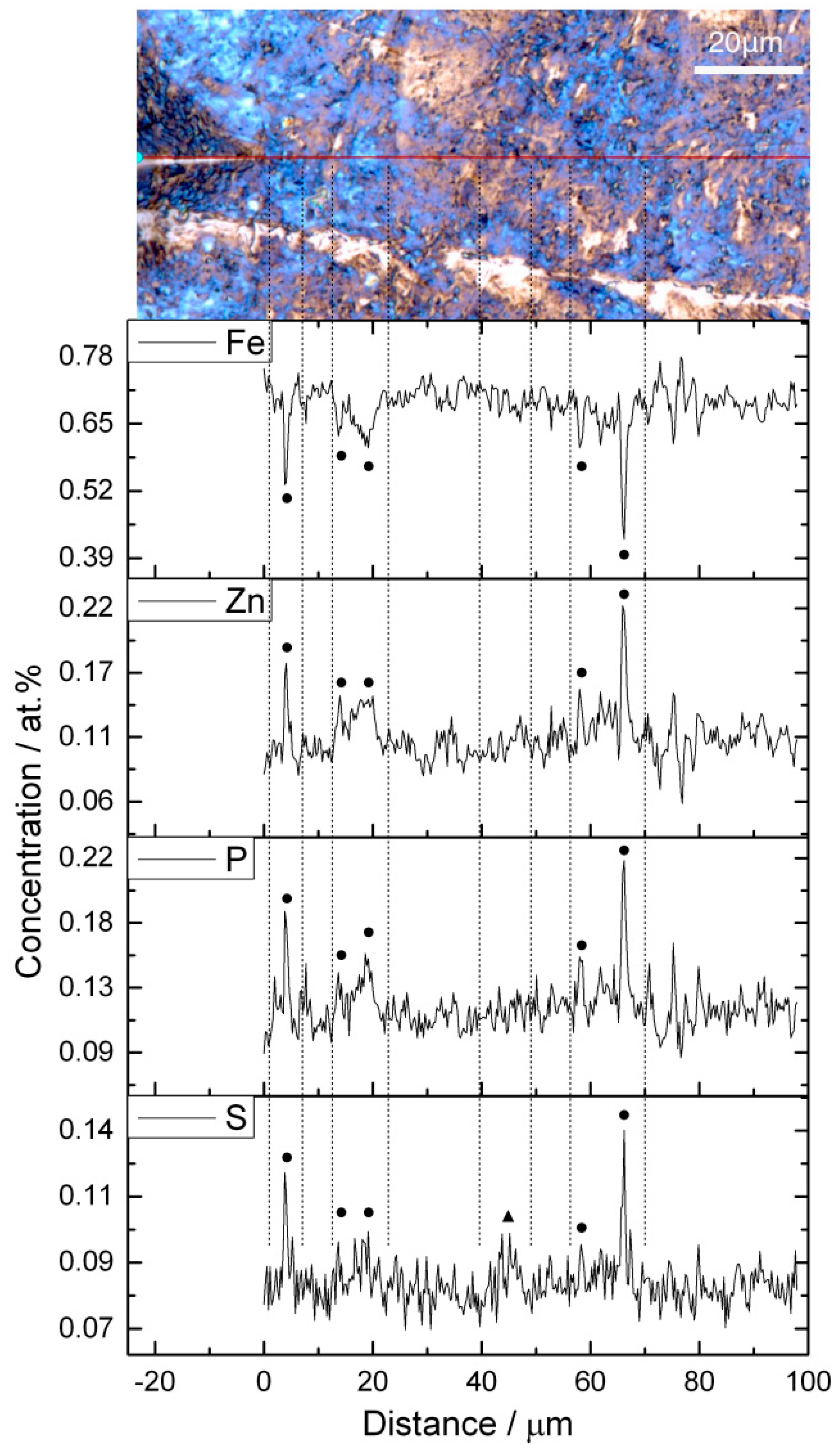 Lubricants 04 00019 g003