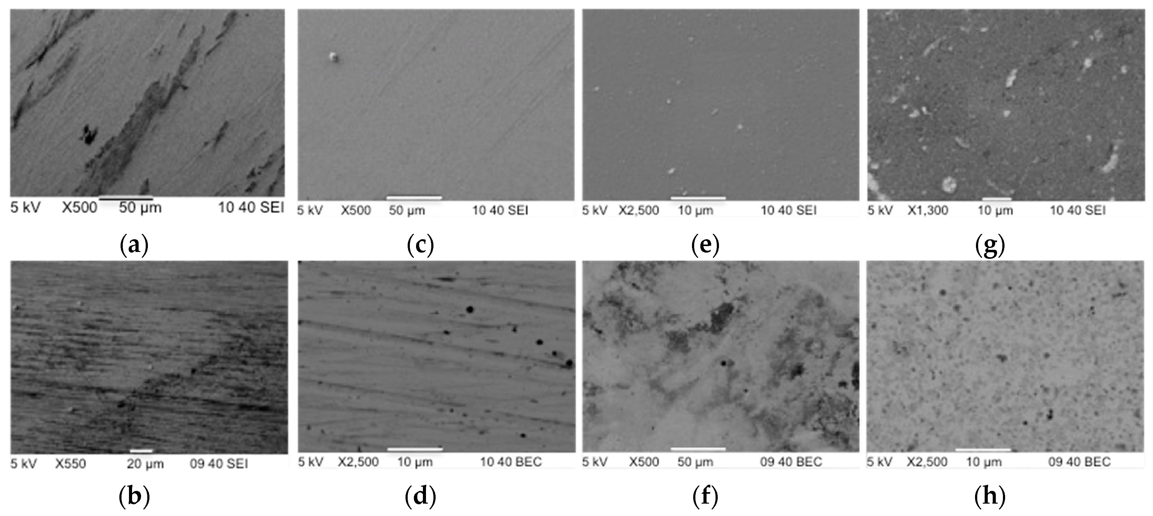 Lubricants 04 00021 g006