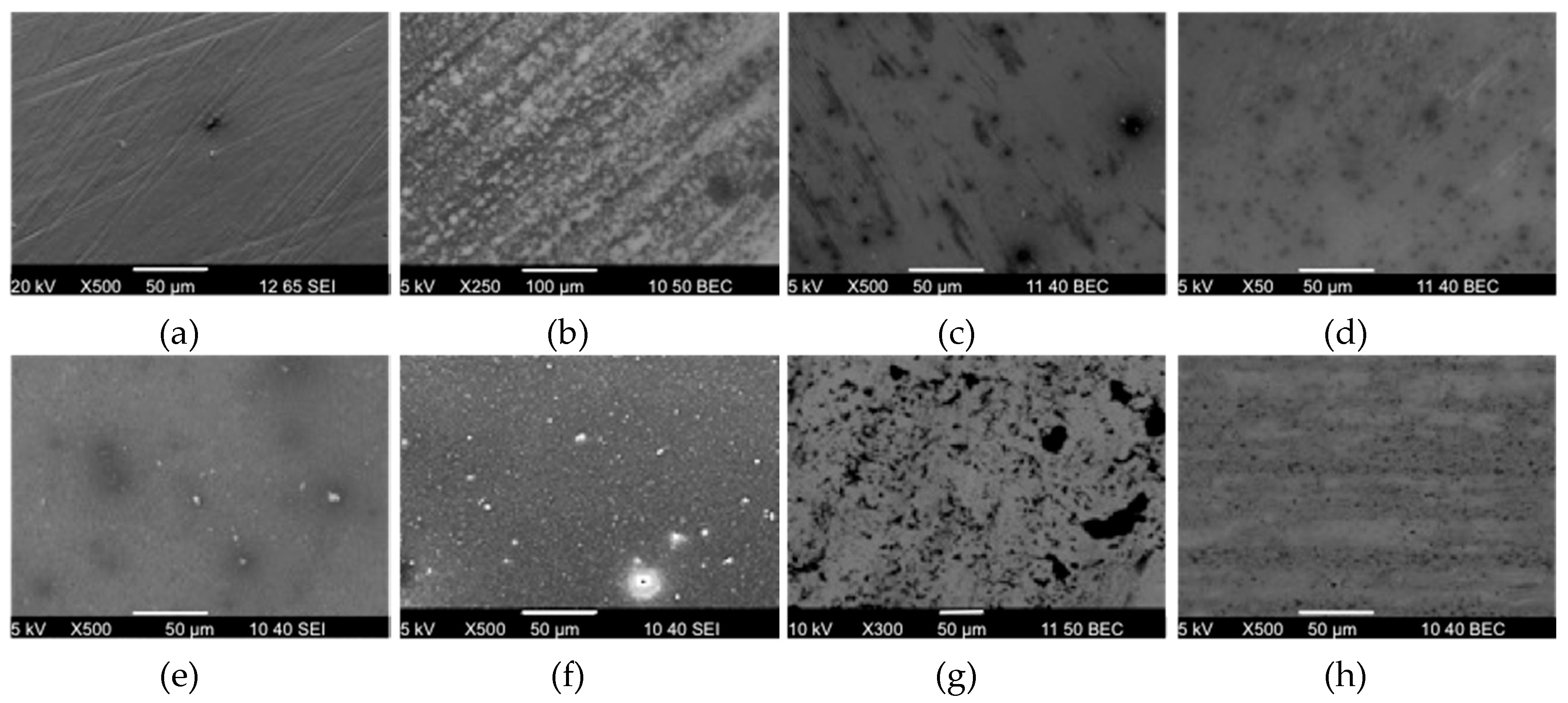 Lubricants 04 00021 g008