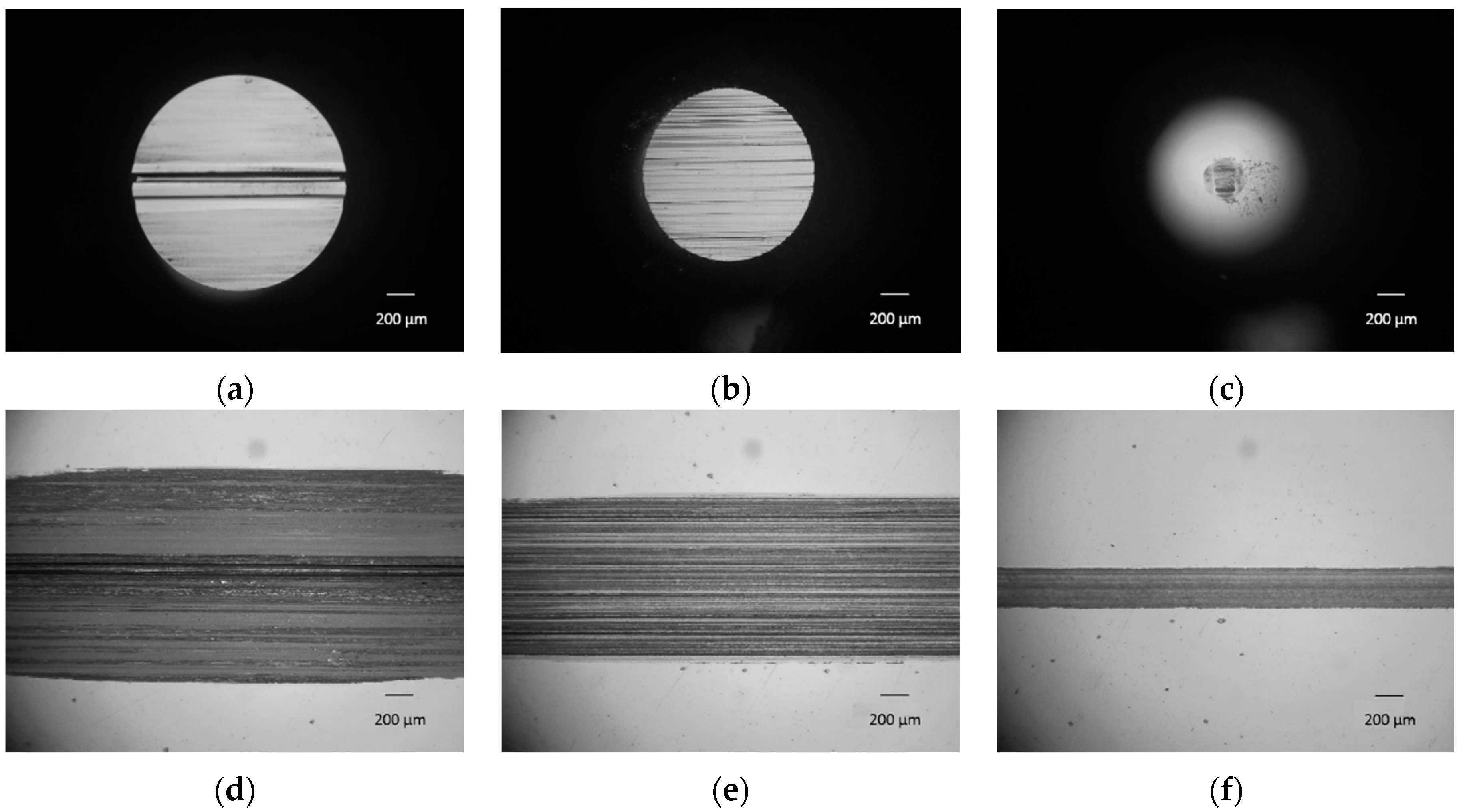 Lubricants 04 00028 g002