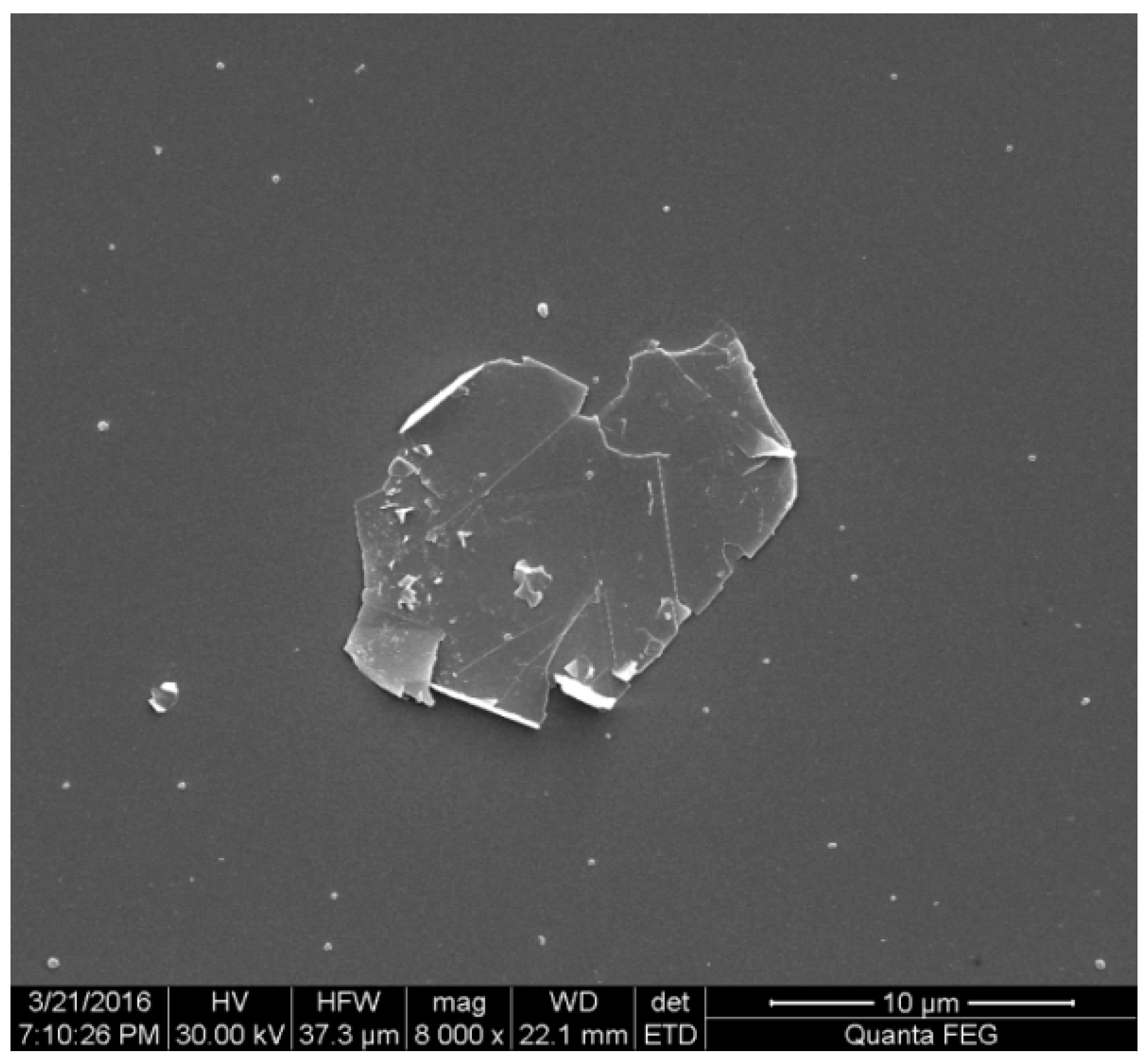 Lubricants 04 00030 g001