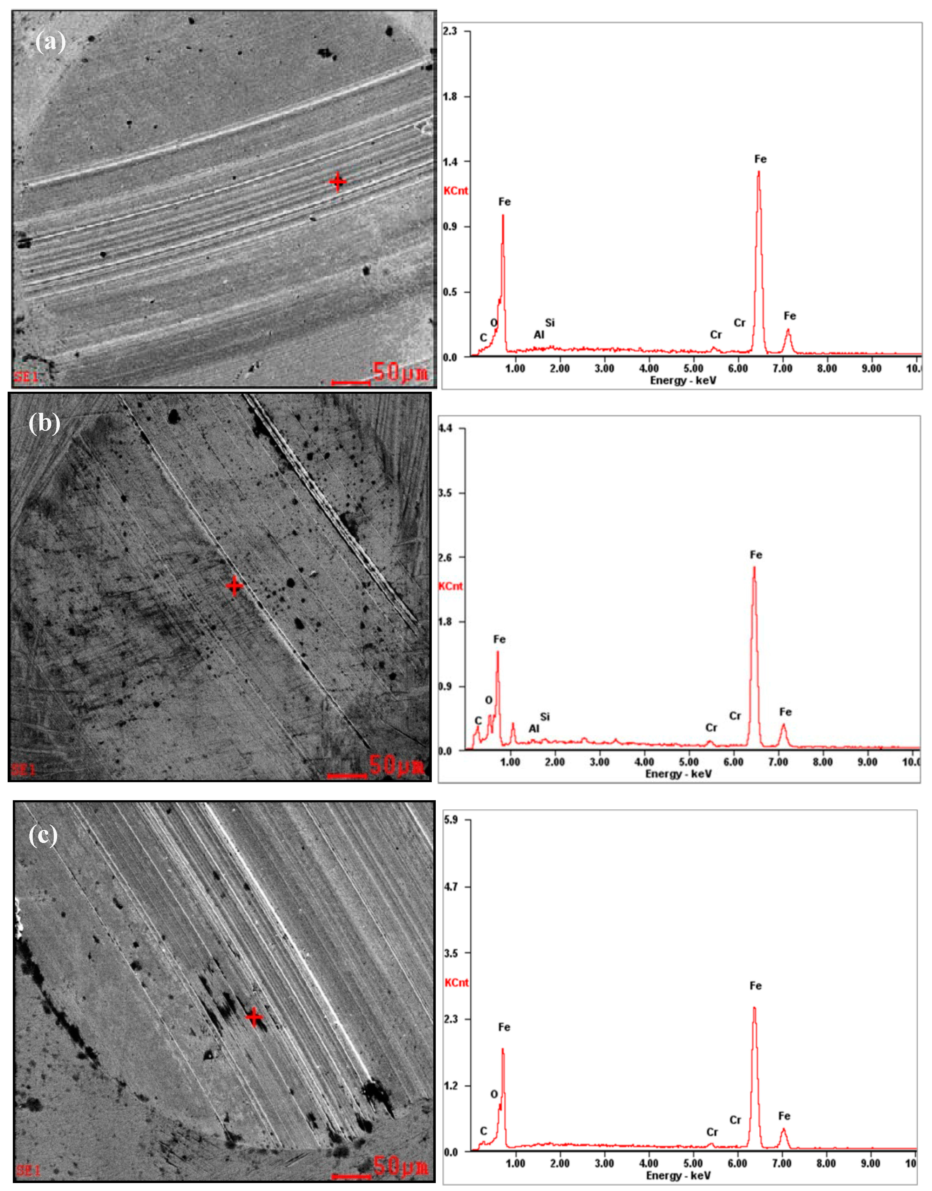 Lubricants 04 00030 g010