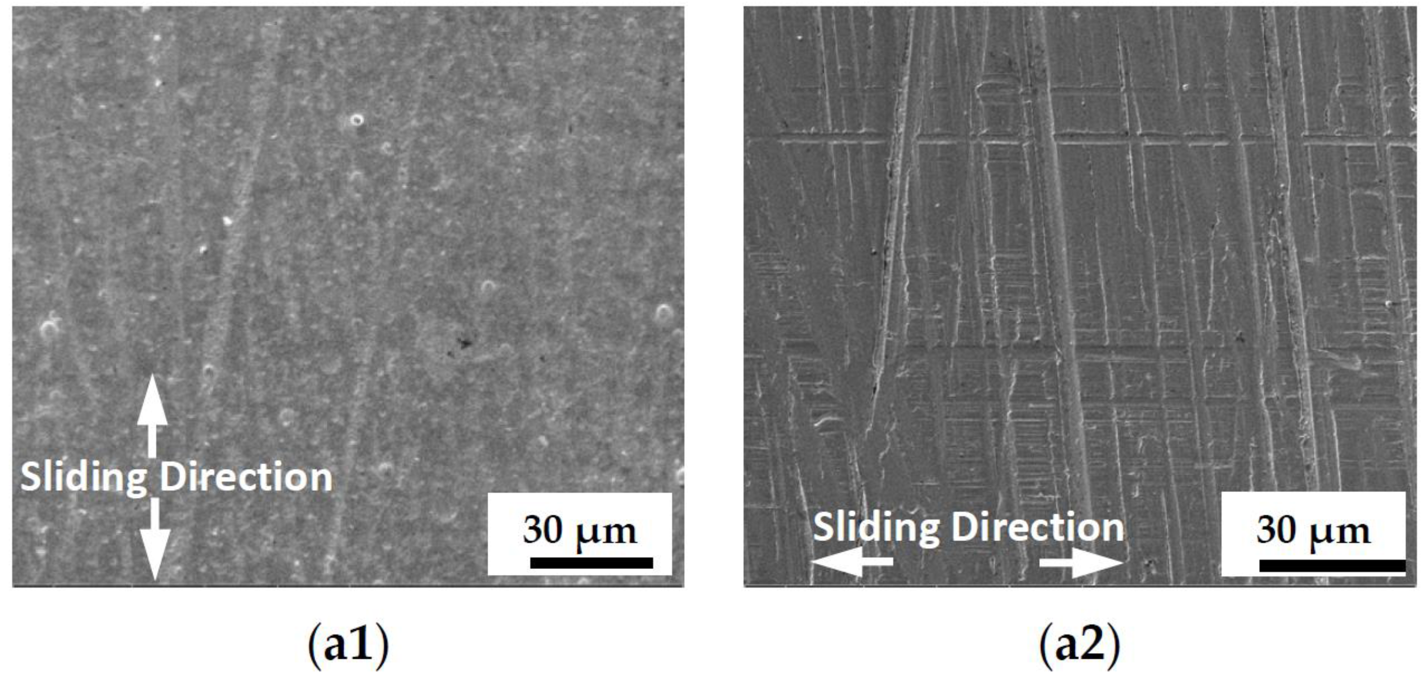 Lubricants 05 00013 g009a