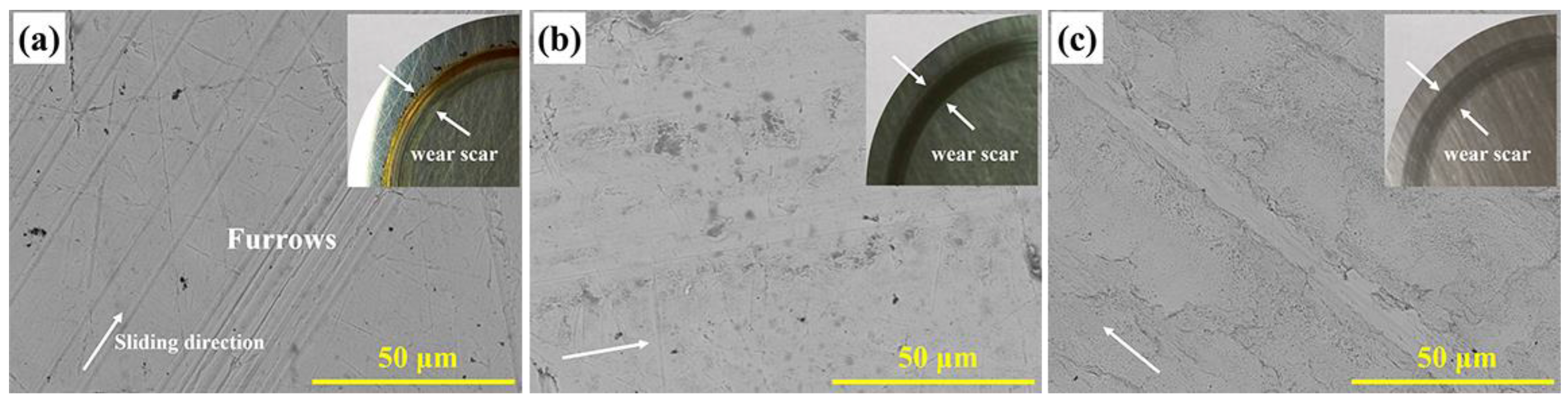 Lubricants 05 00019 g010