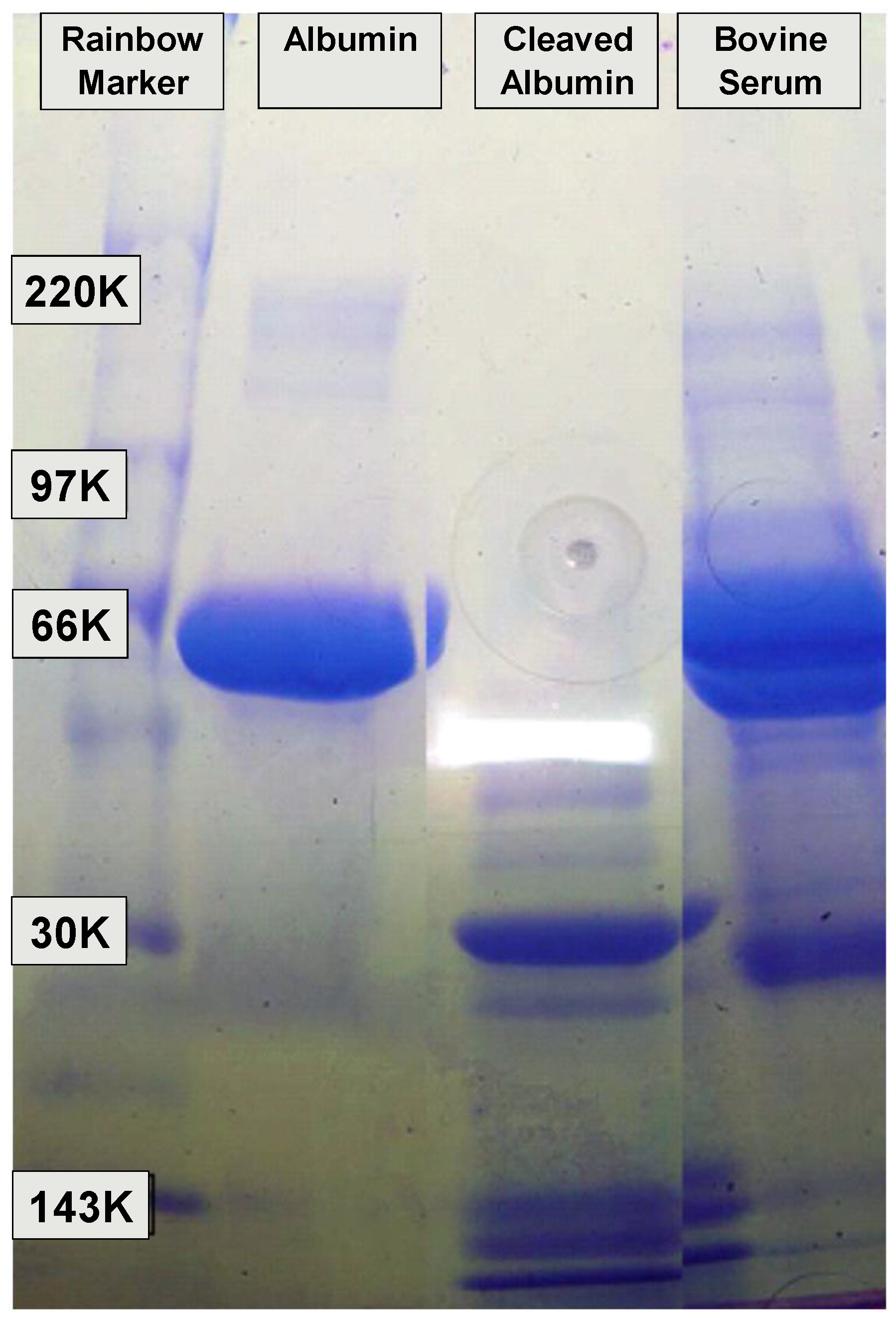 Lubricants 05 00033 g001