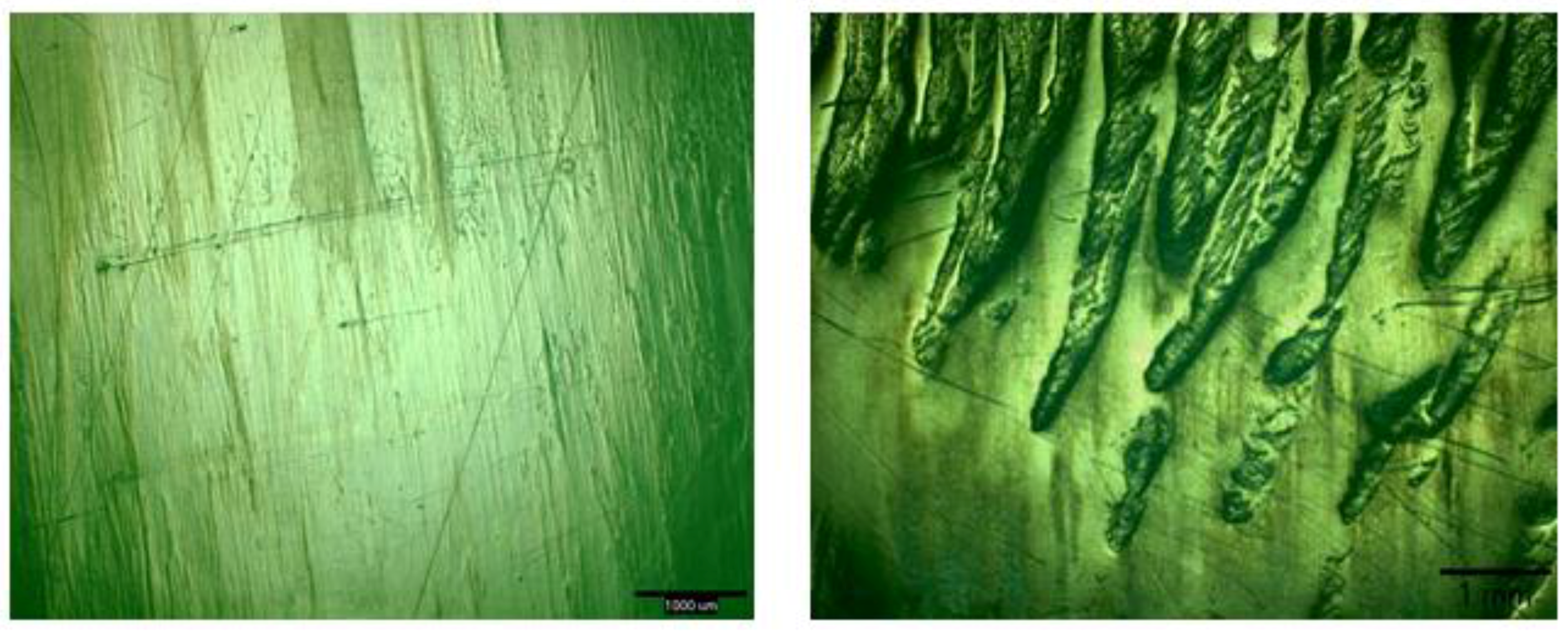 Lubricants 05 00033 g006