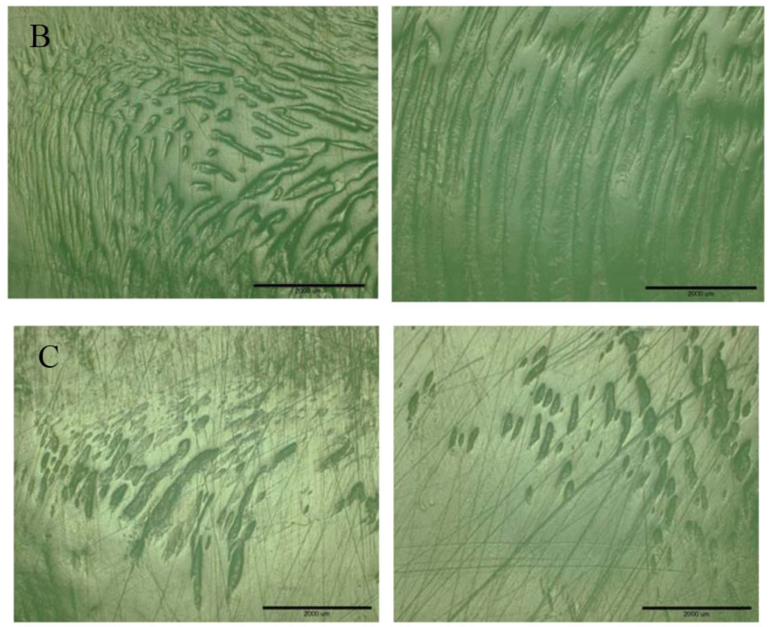 Lubricants 05 00033 g007b