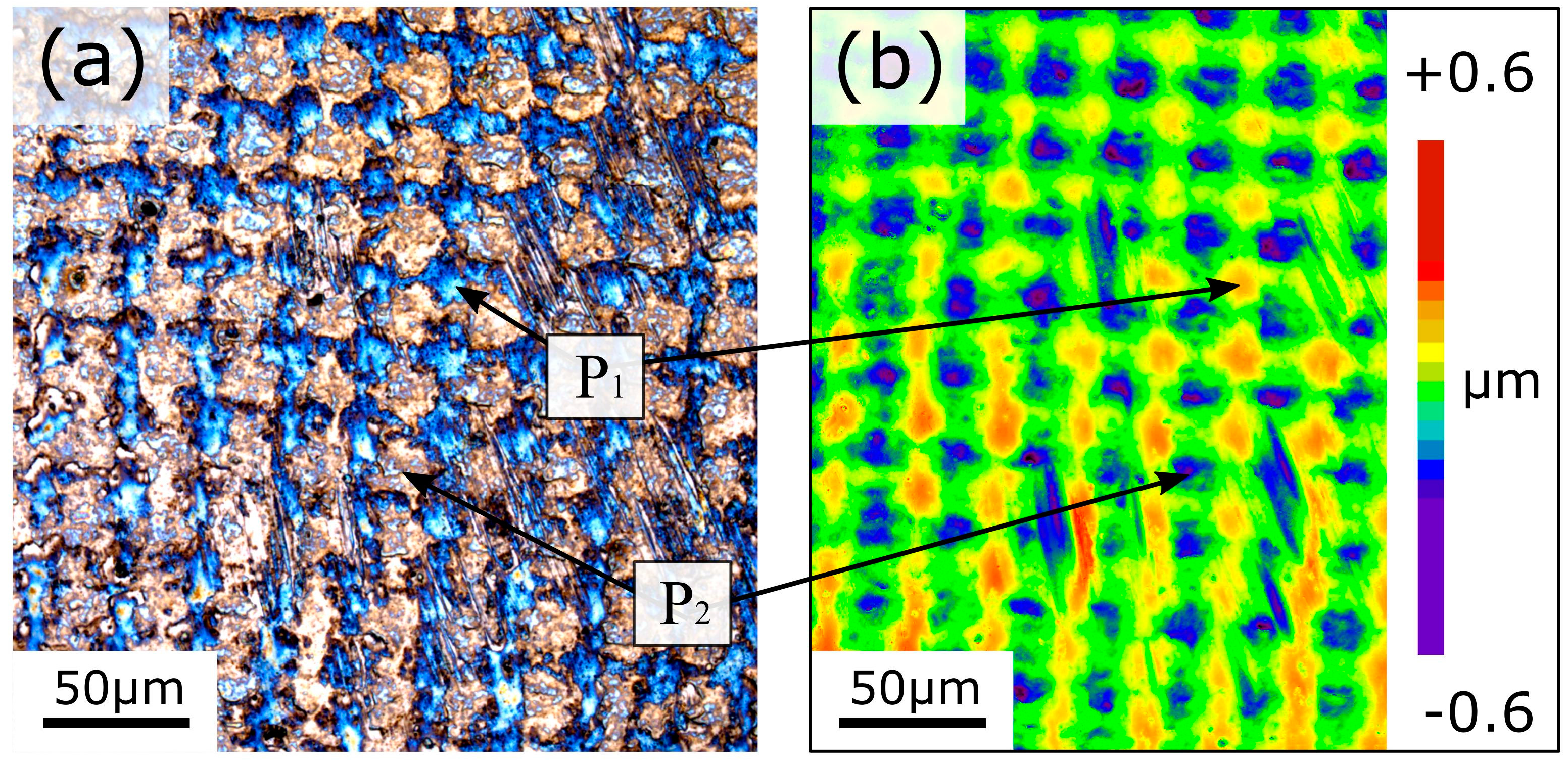 Lubricants 05 00039 g003