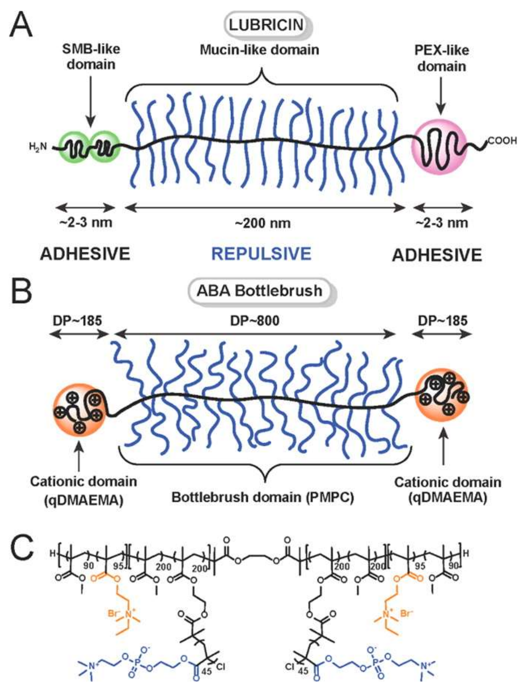 Lubricants 06 00030 g003