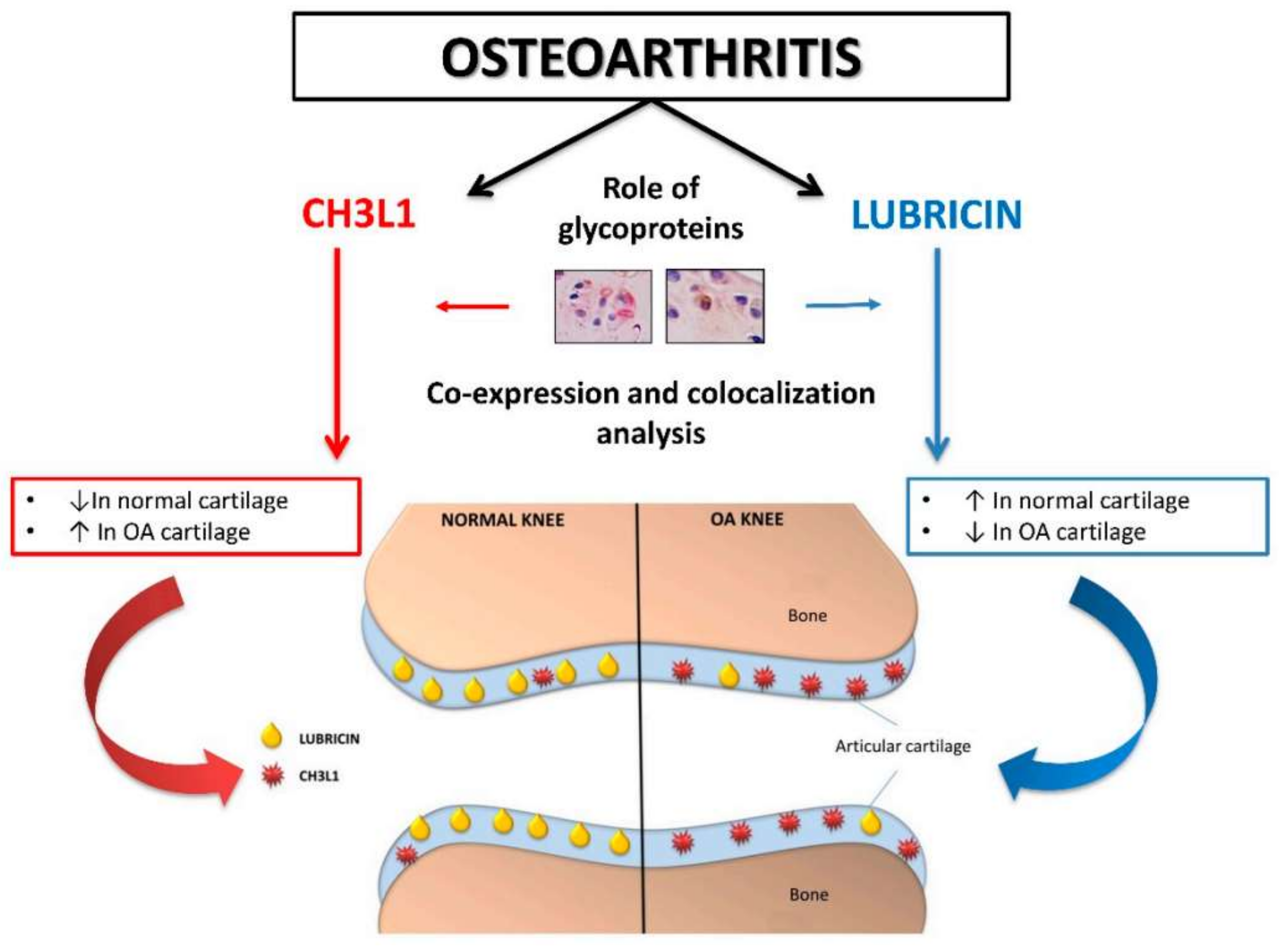 Lubricants 06 00030 g004