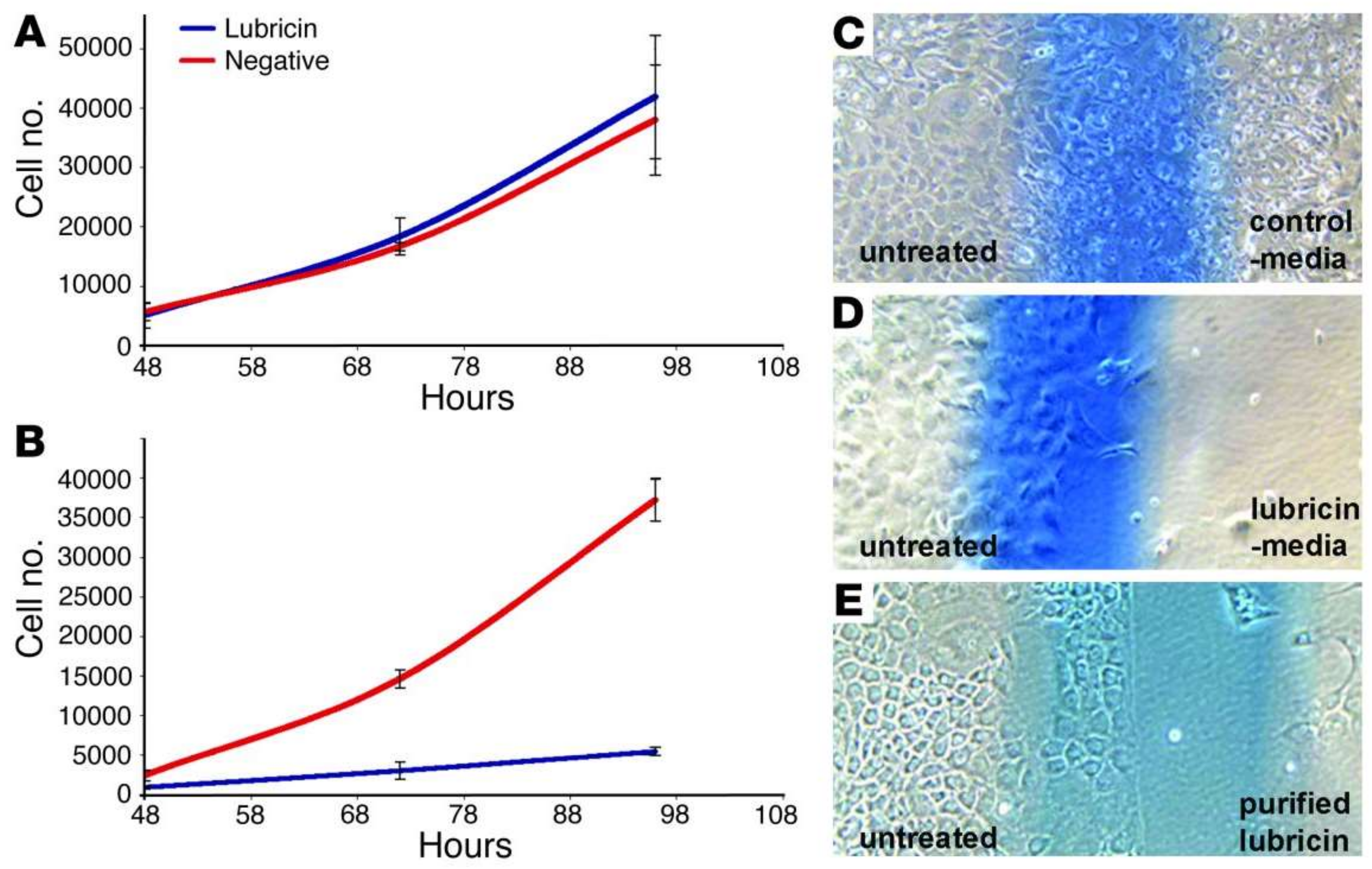 Lubricants 06 00030 g005