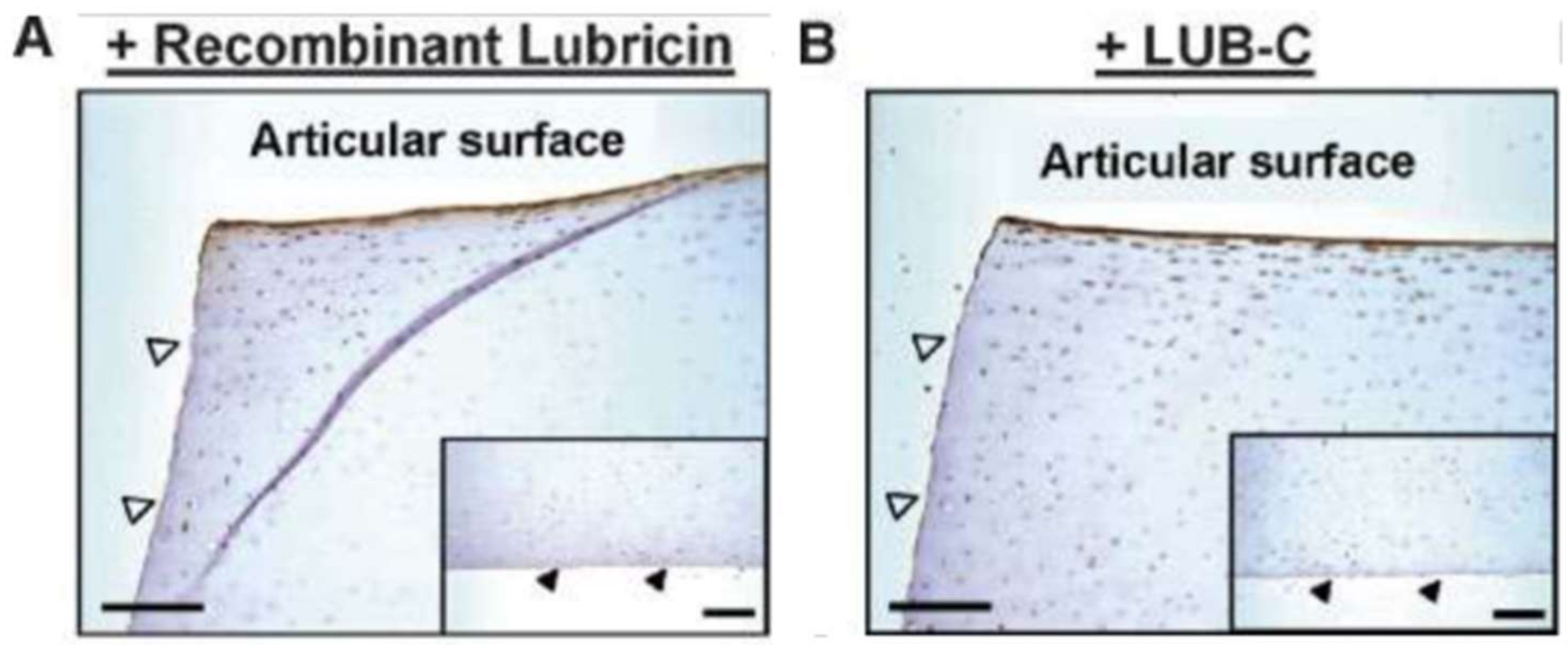 Lubricants 06 00030 g006