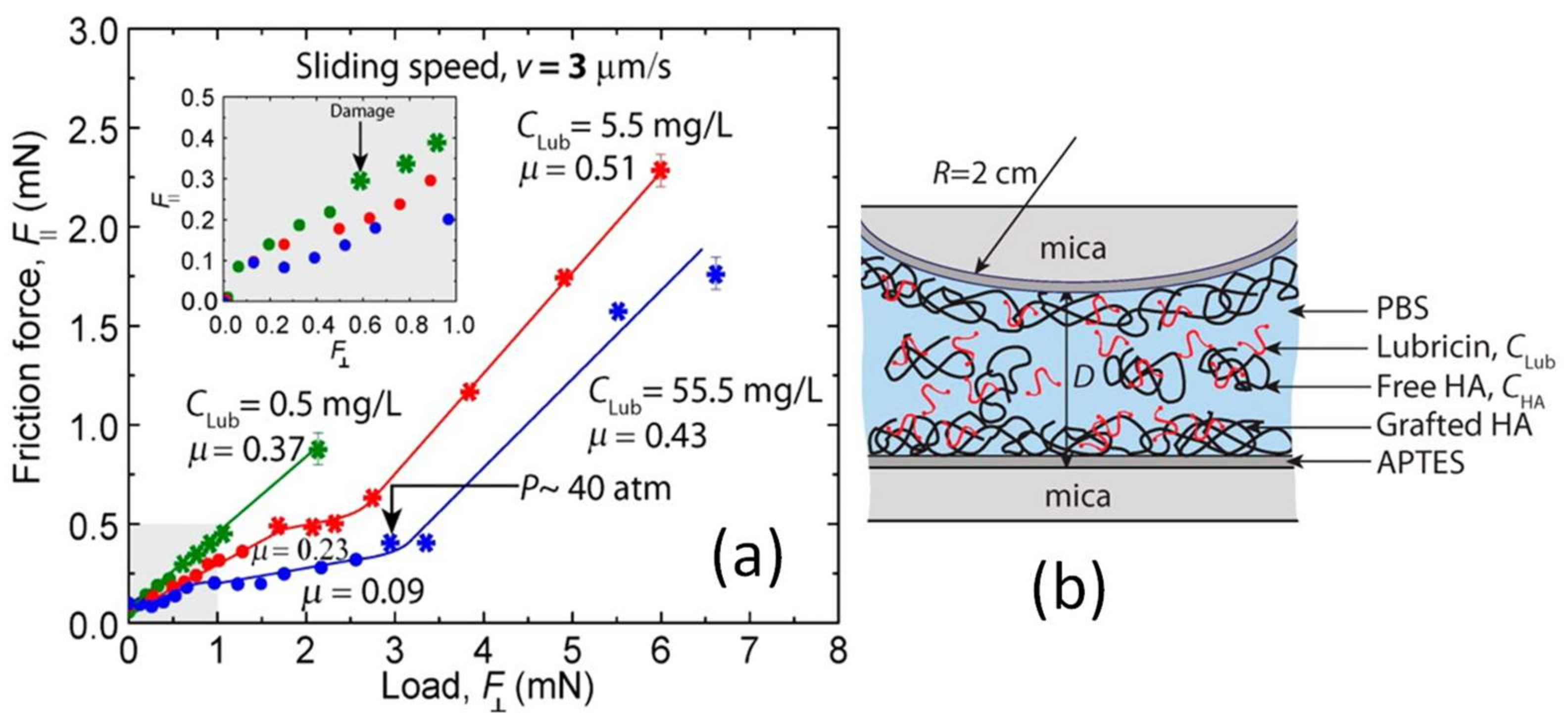 Lubricants 06 00030 g018