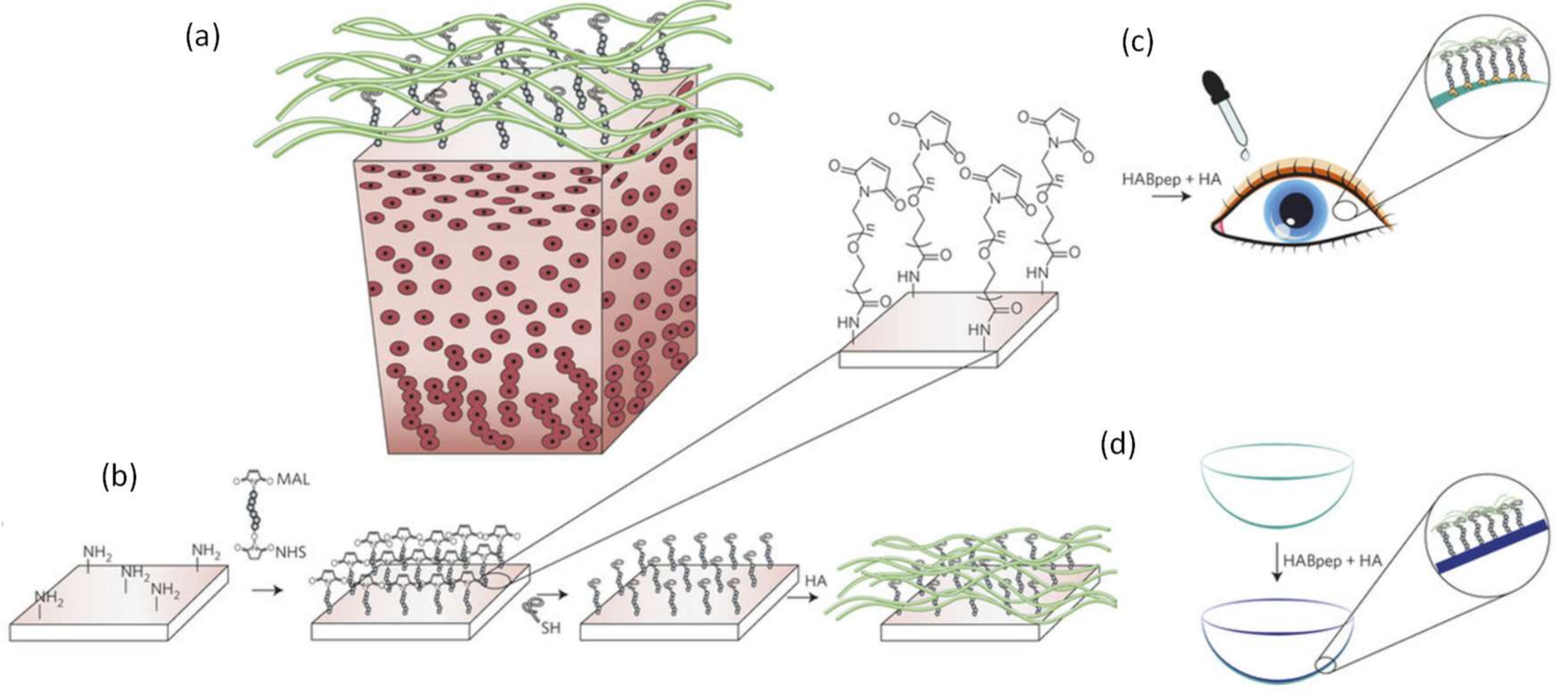Lubricants 06 00030 g019
