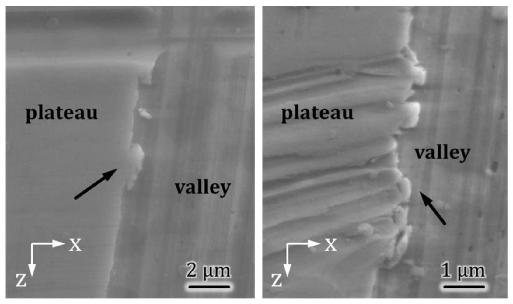 Lubricants 06 00034 g005