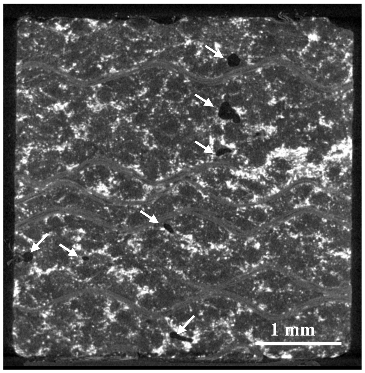 Lubricants 06 00039 g008