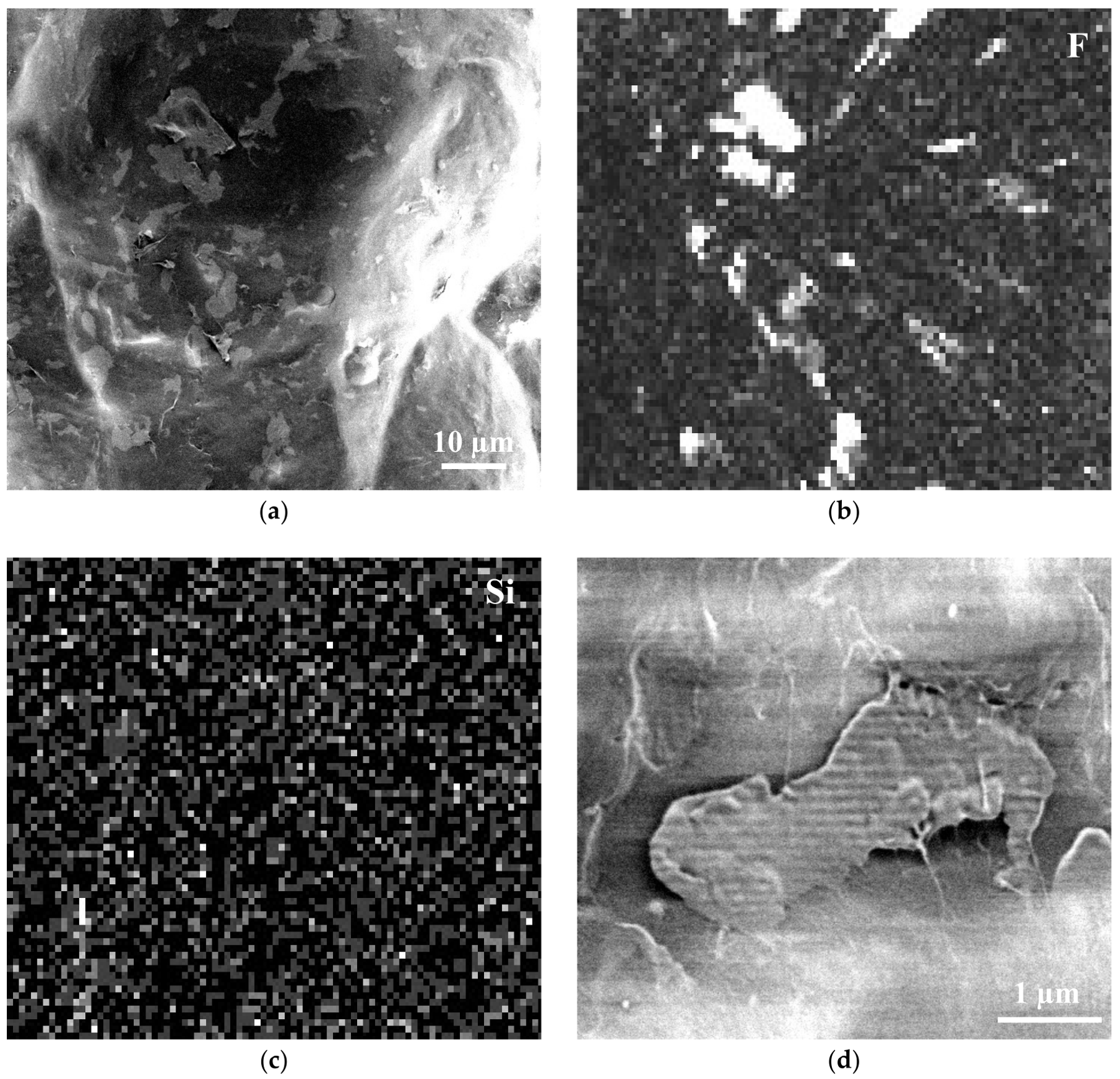 Lubricants 06 00039 g024