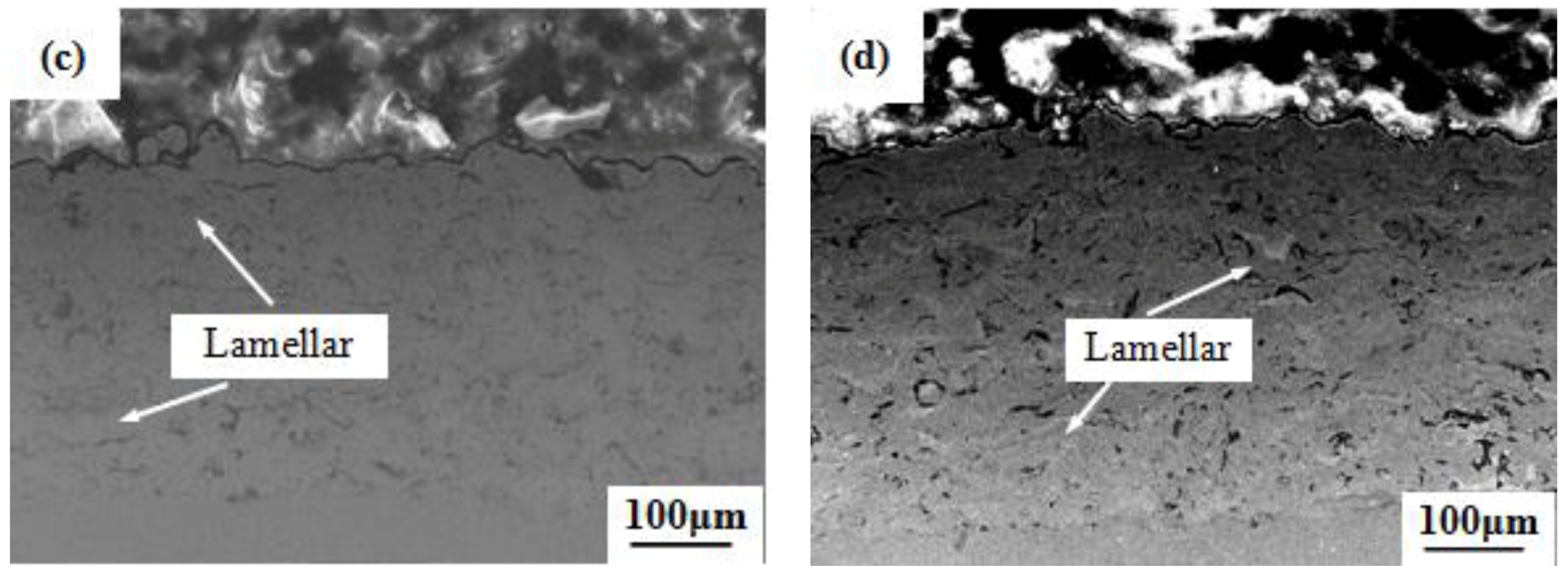 Lubricants 06 00048 g003b