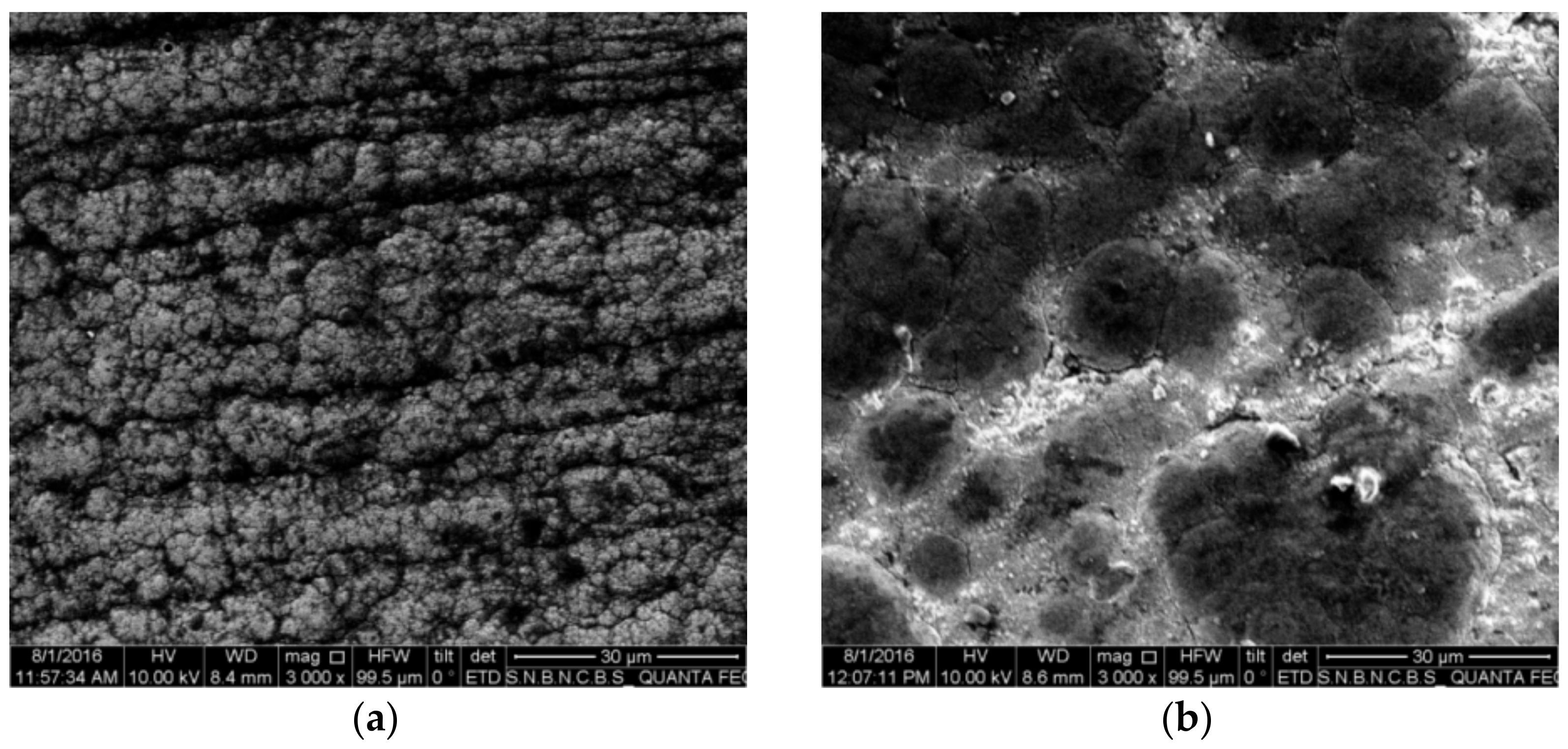 Lubricants 06 00067 g004