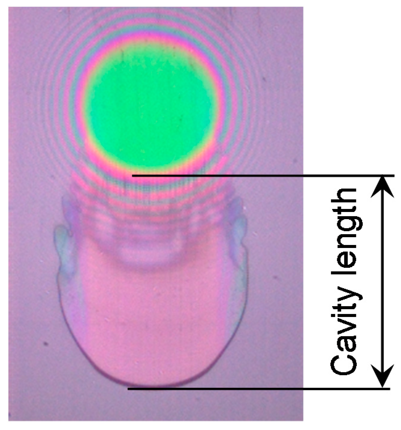 Lubricants 06 00075 g002