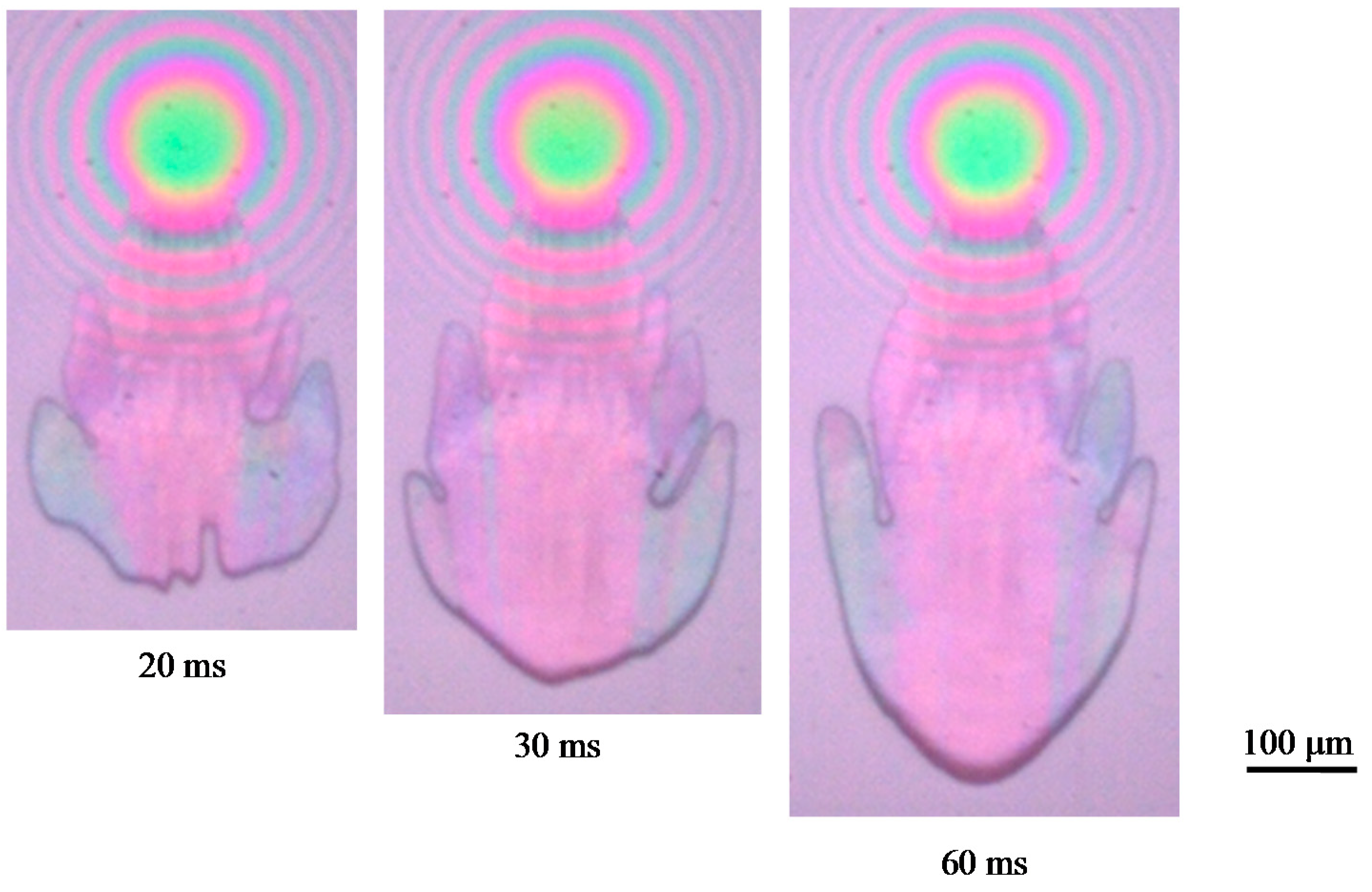 Lubricants 06 00075 g003b
