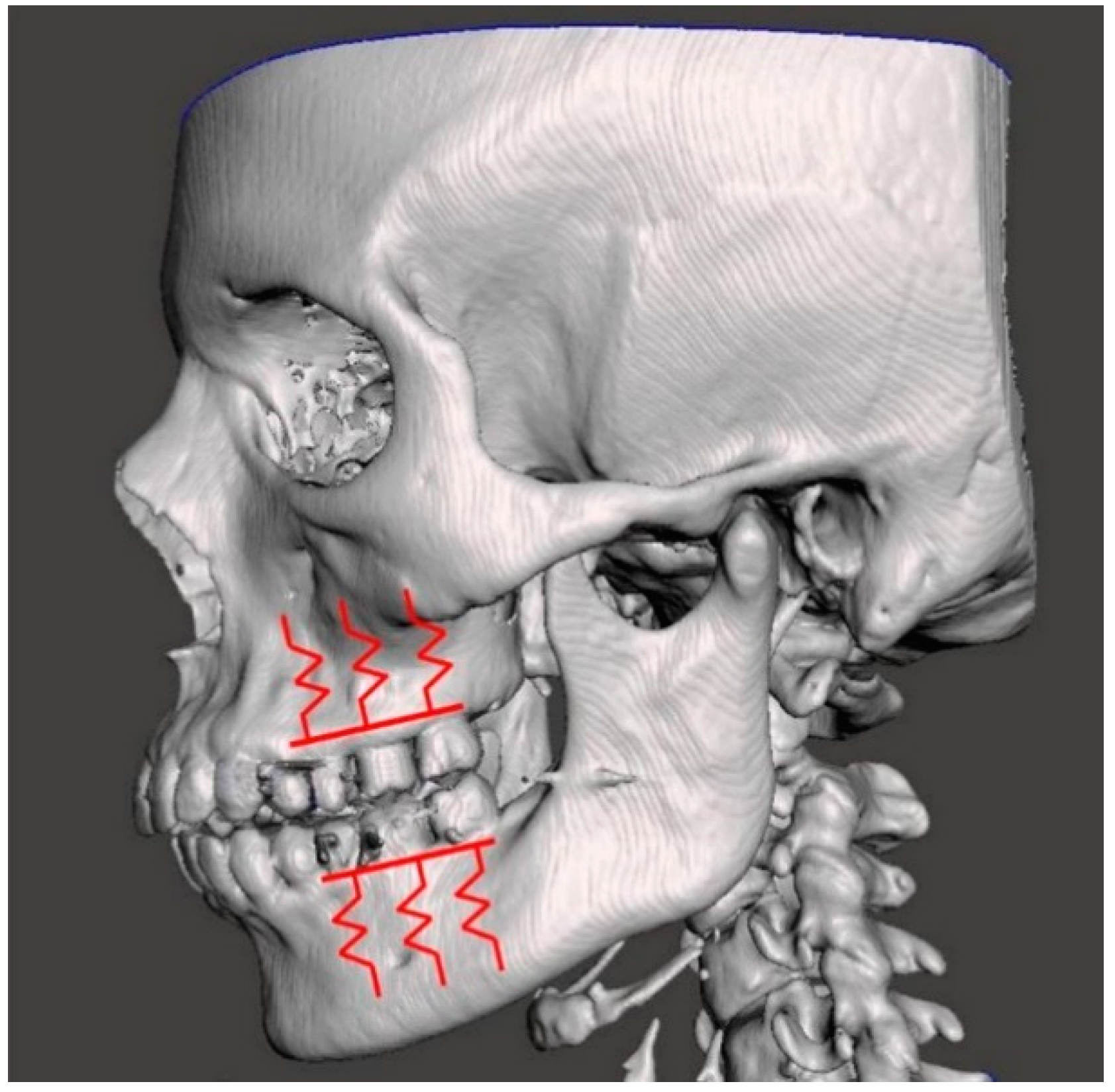 Lubricants 07 00015 g004