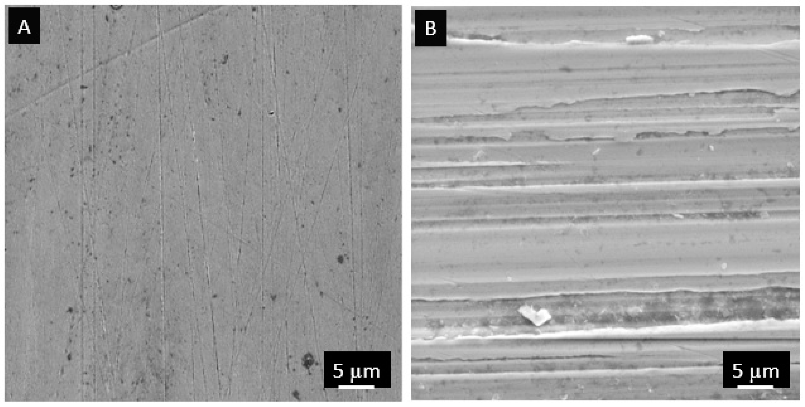 Lubricants 07 00021 g002