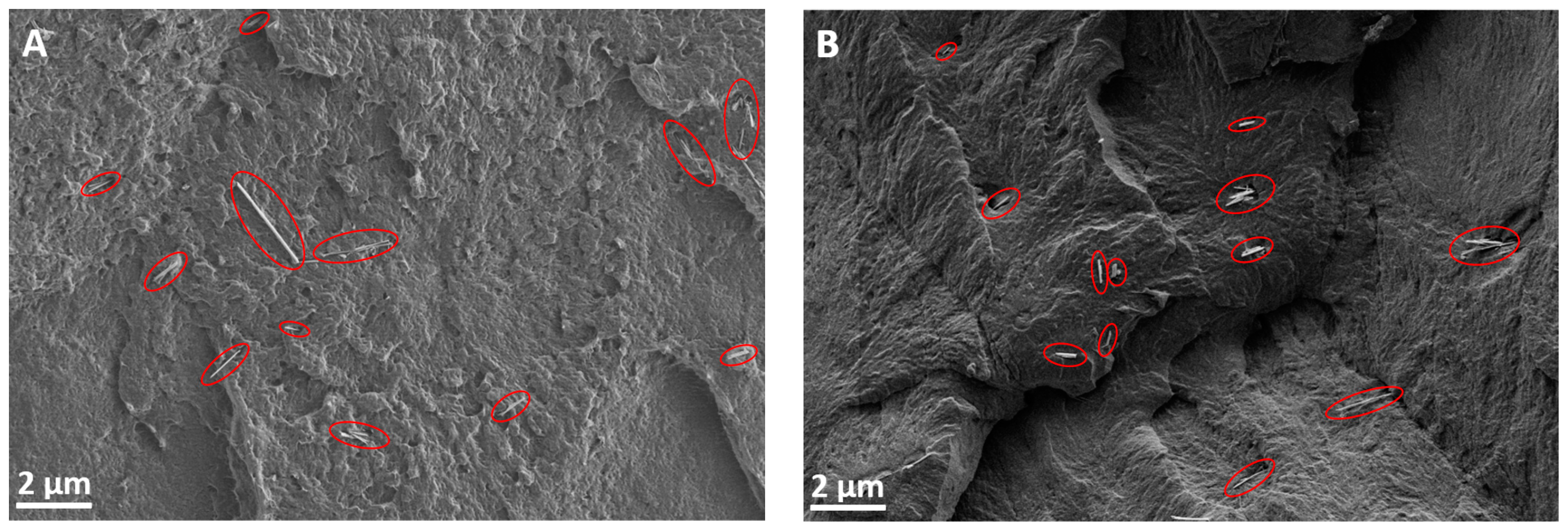 Lubricants 07 00028 g001
