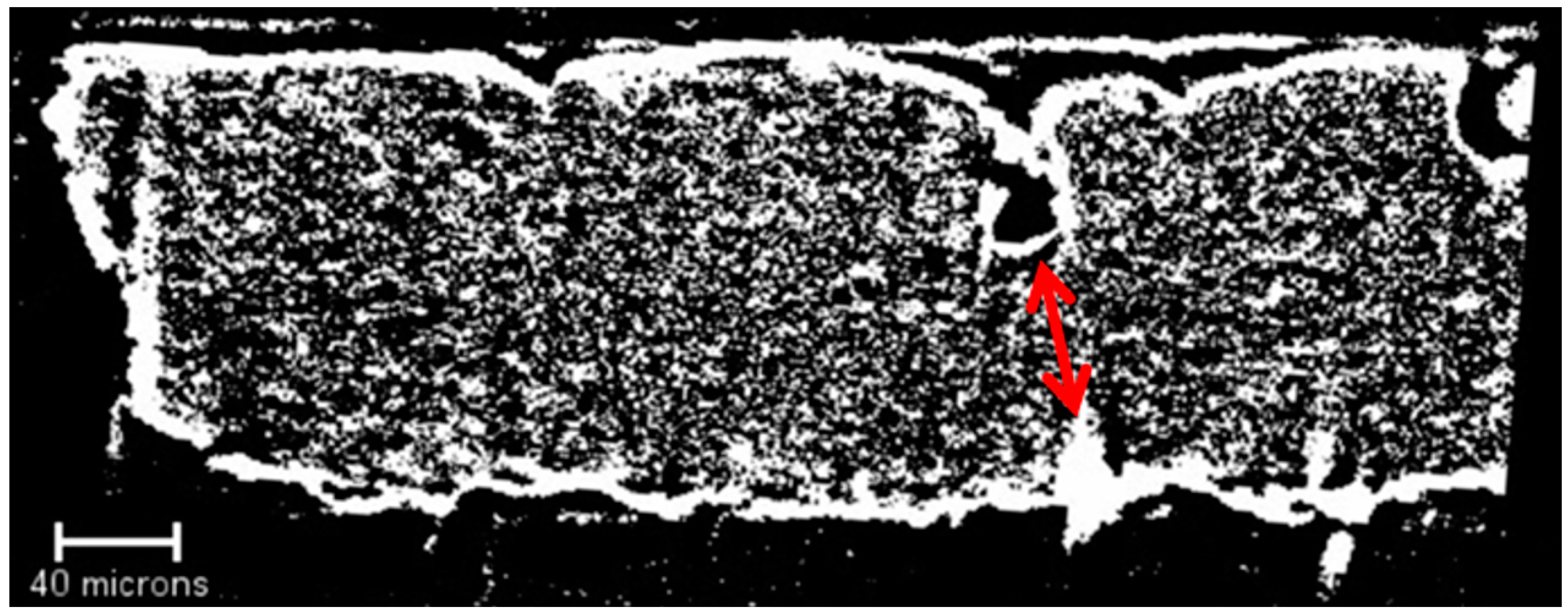 Lubricants 07 00028 g008