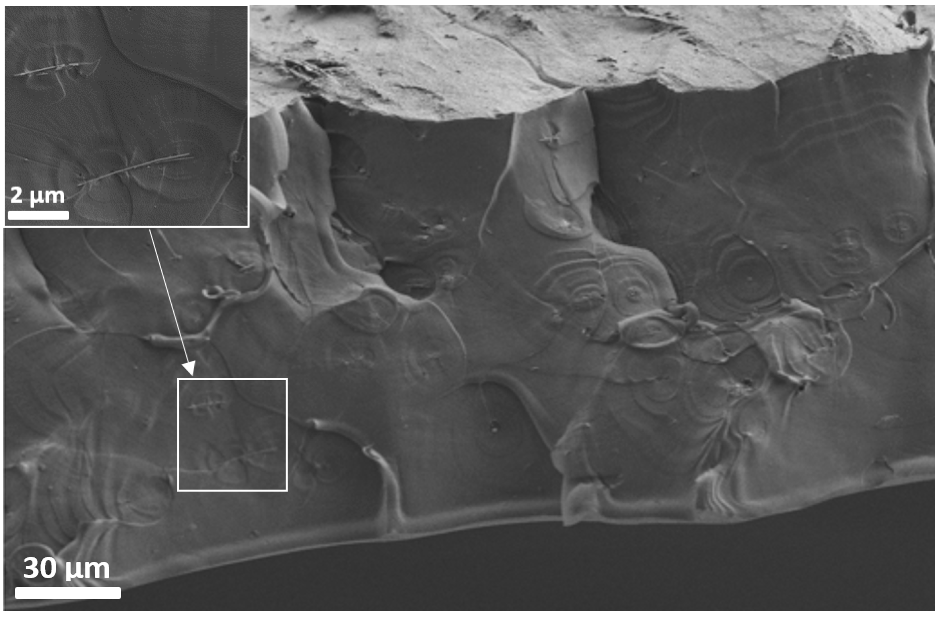 Lubricants 07 00028 g009