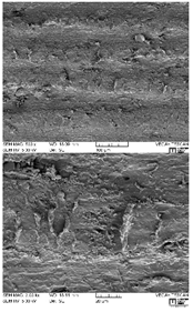 Lubricants 07 00060 i002
